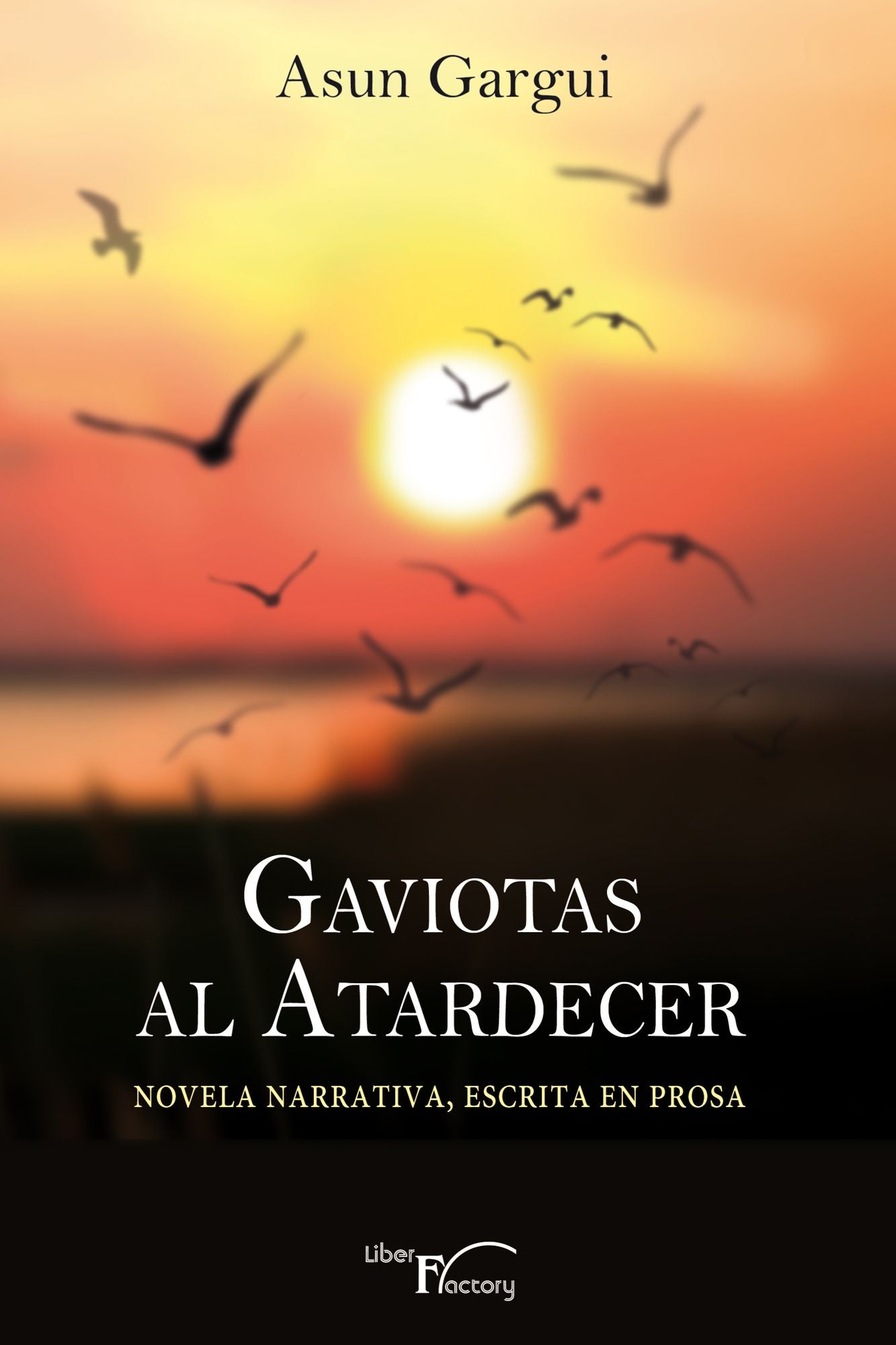Gaviotas al atardecer