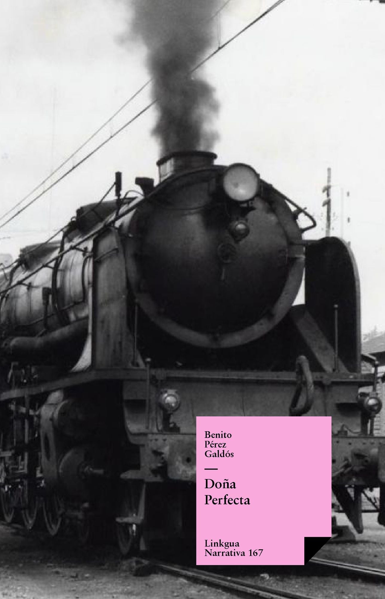 Doña perfecta
