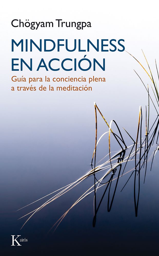 Mindfulness en accion: Guia para la conciencia plena a traves de la meditacion