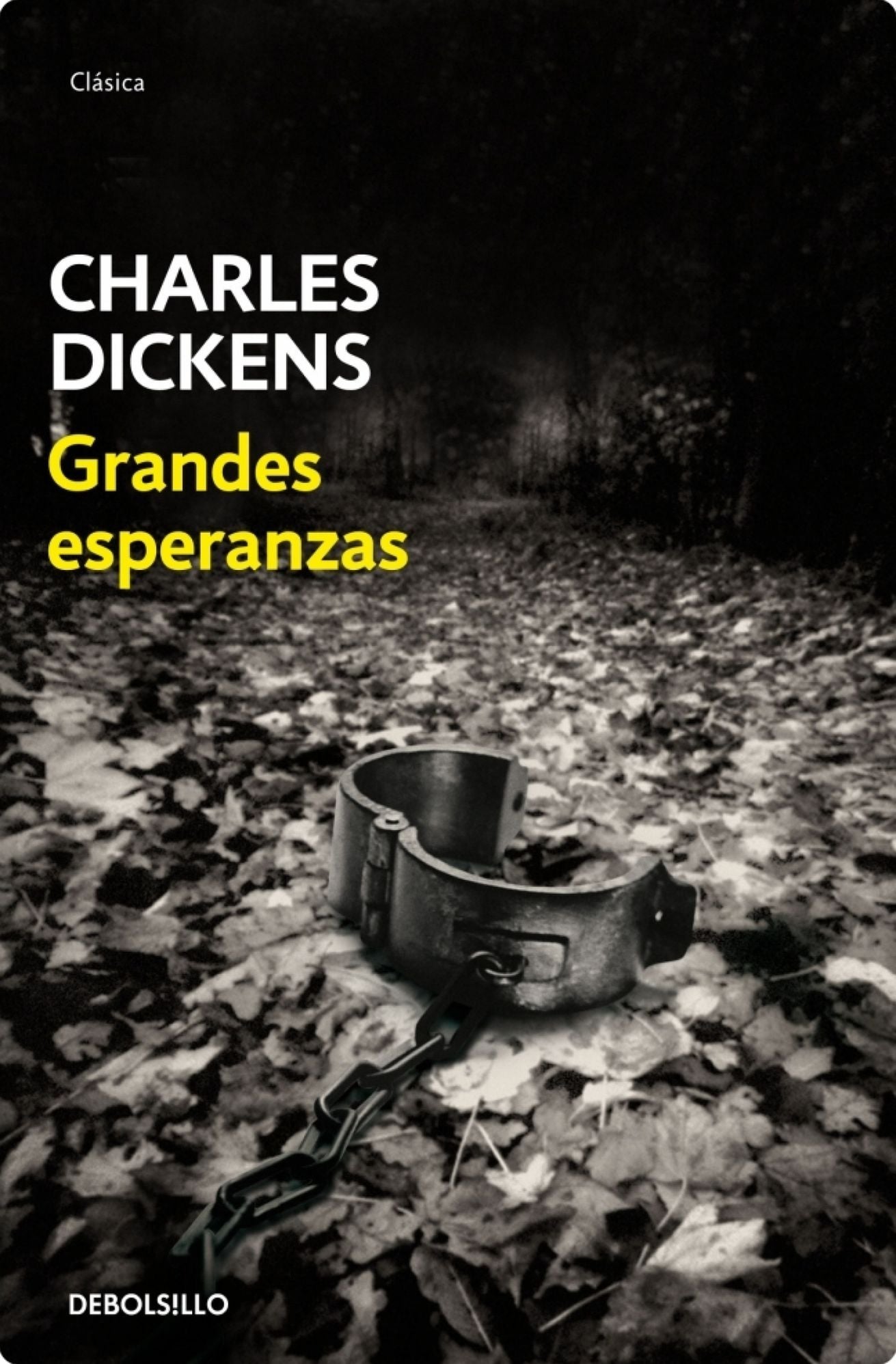 Grandes esperanzas