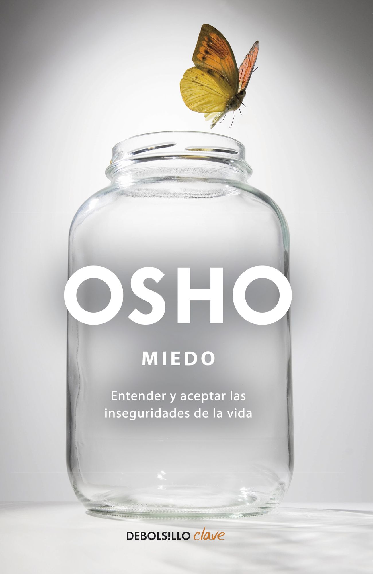 Miedo: Entender y aceptar las inseguridades de la vida