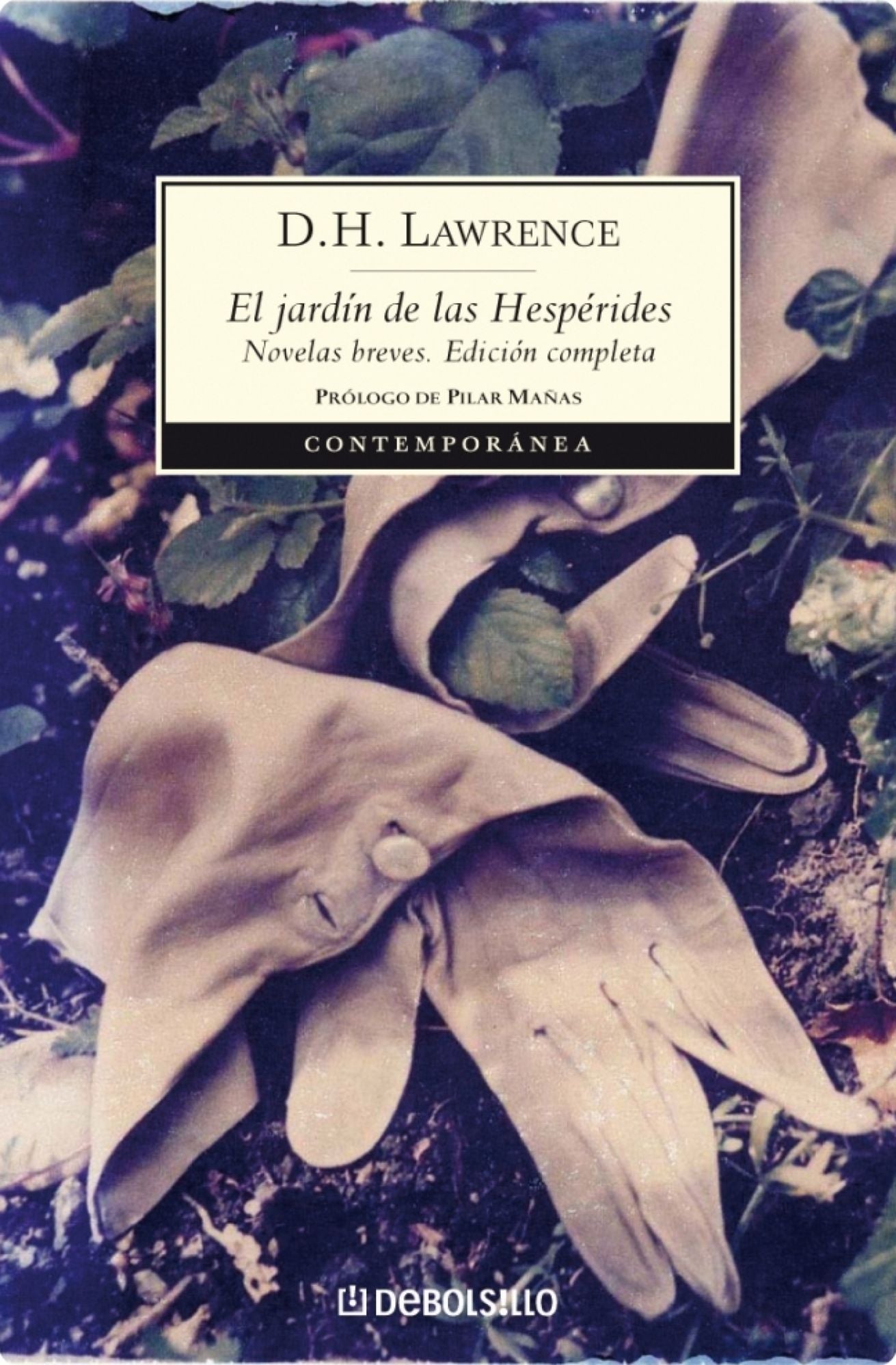 El jardín de las Hespérides: Novelas breves. Edición completa