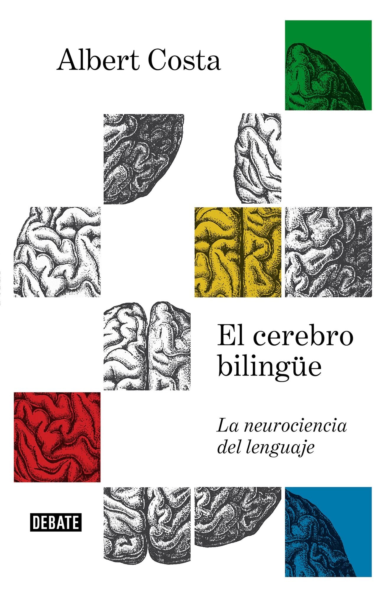 El cerebro bilingue