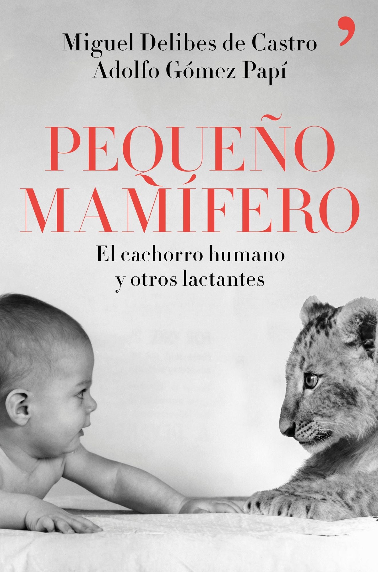 Pequeño mamífero: El cachorro humano y otros lactantes