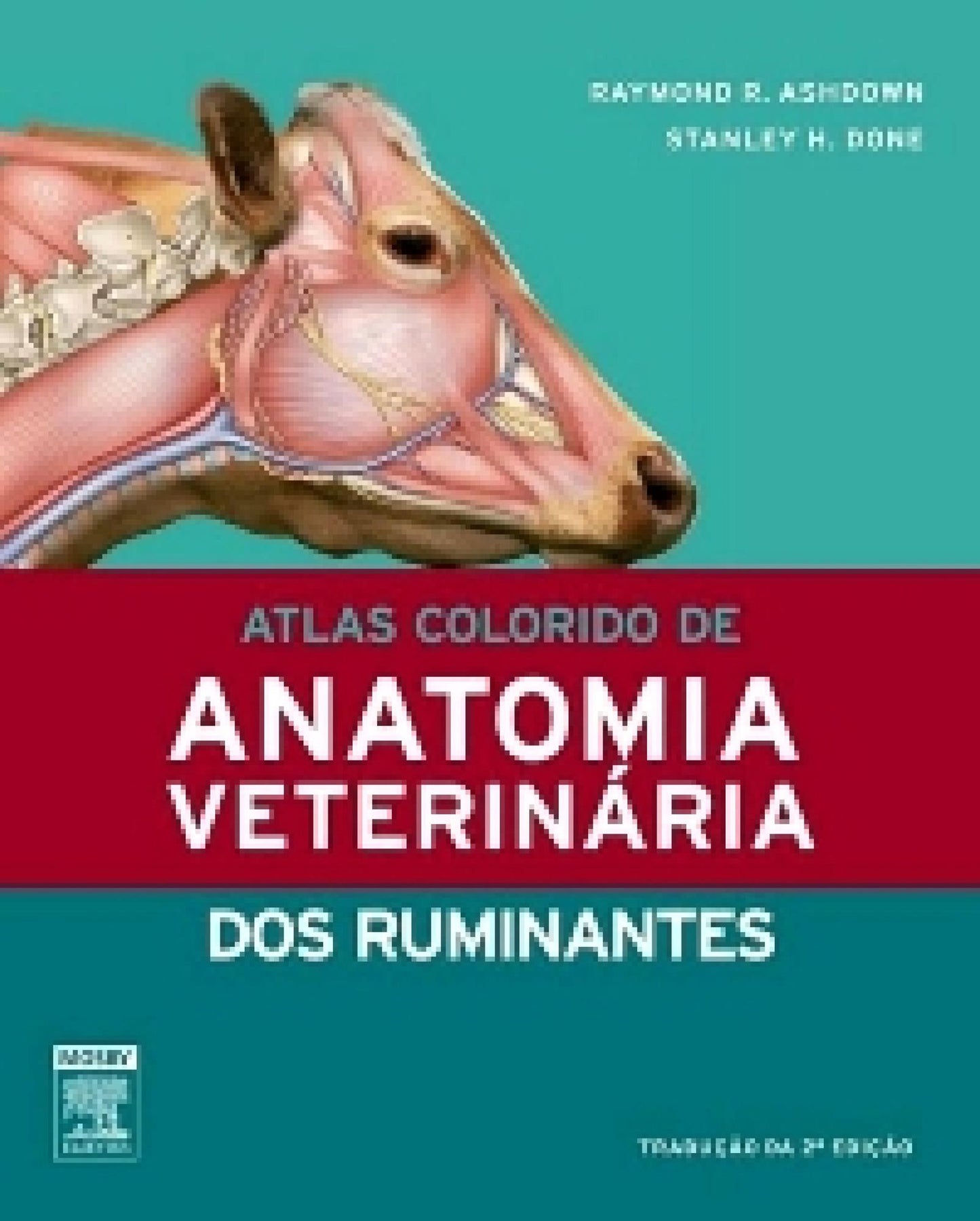 Atlas Colorido De Anatomia Veterinária Dos Ruminantes