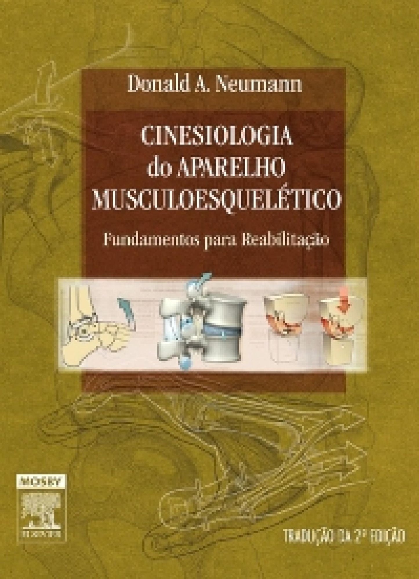 Cinesiologia do Aparelho Musculoesquelético: Fundamentos para Reabilitação