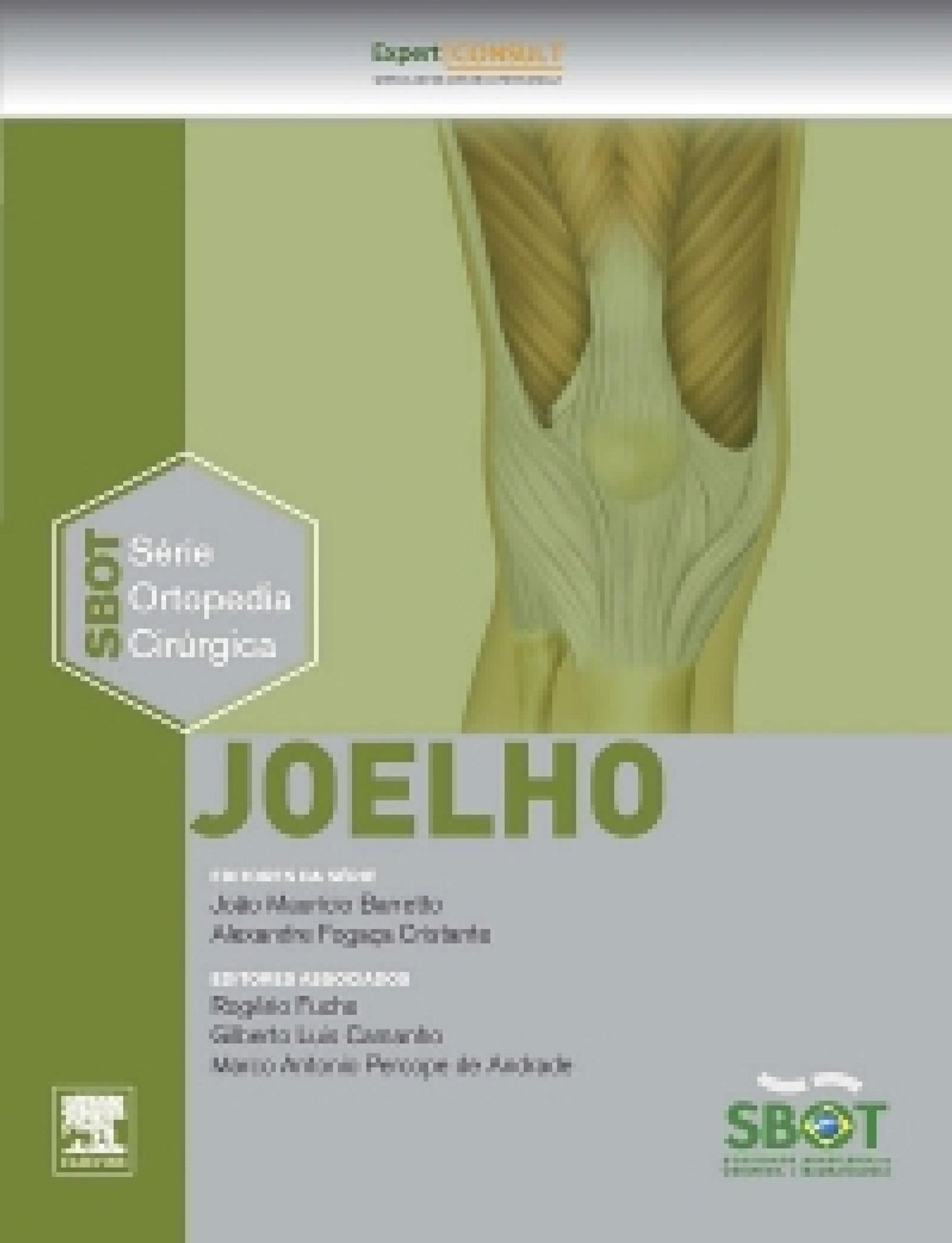 Joelho: Série Técnicas Cirúrgicas em Ortopedia - SBOT