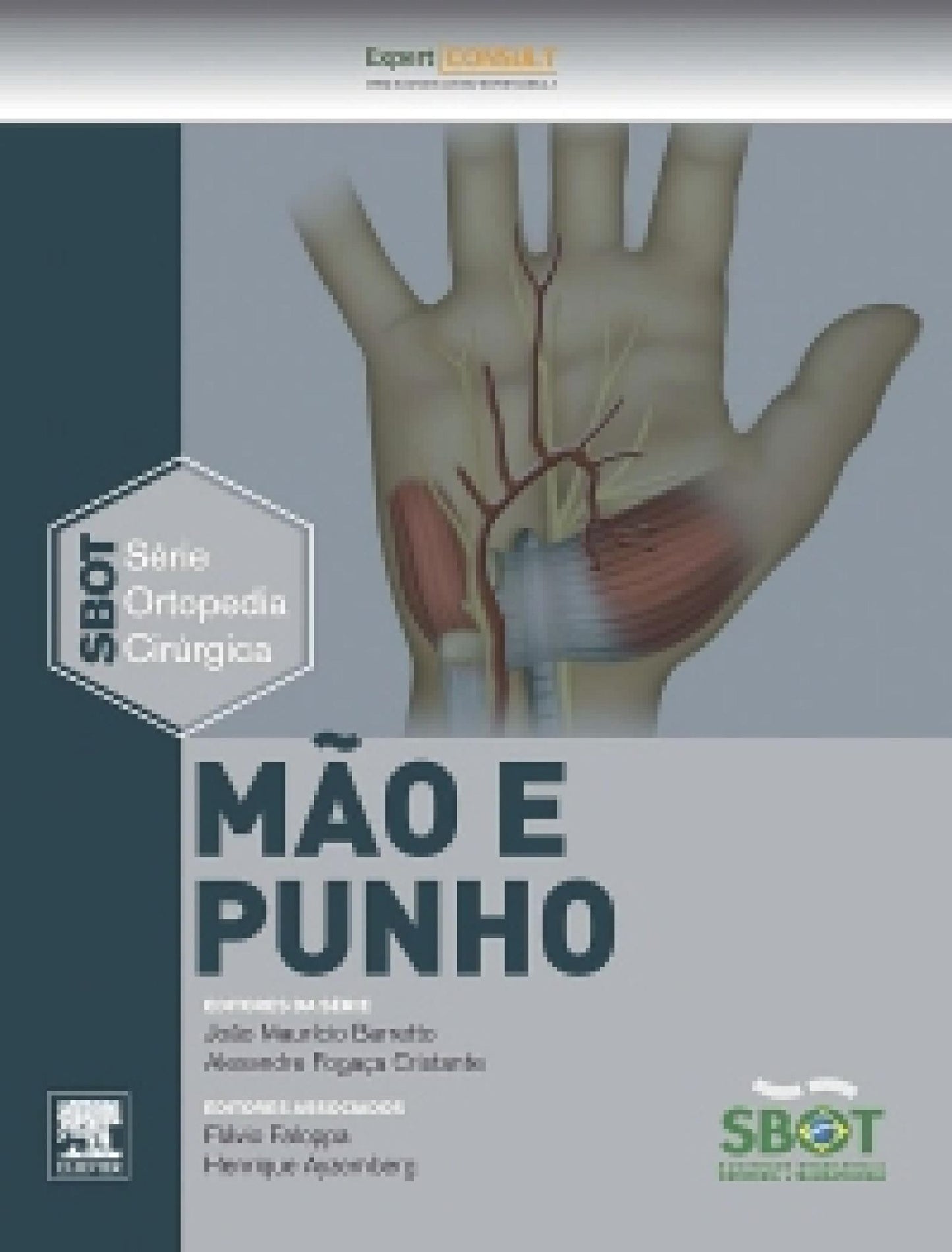 Mão e Punho: Série Técnicas Cirúrgicas em Ortopedia - SBOT