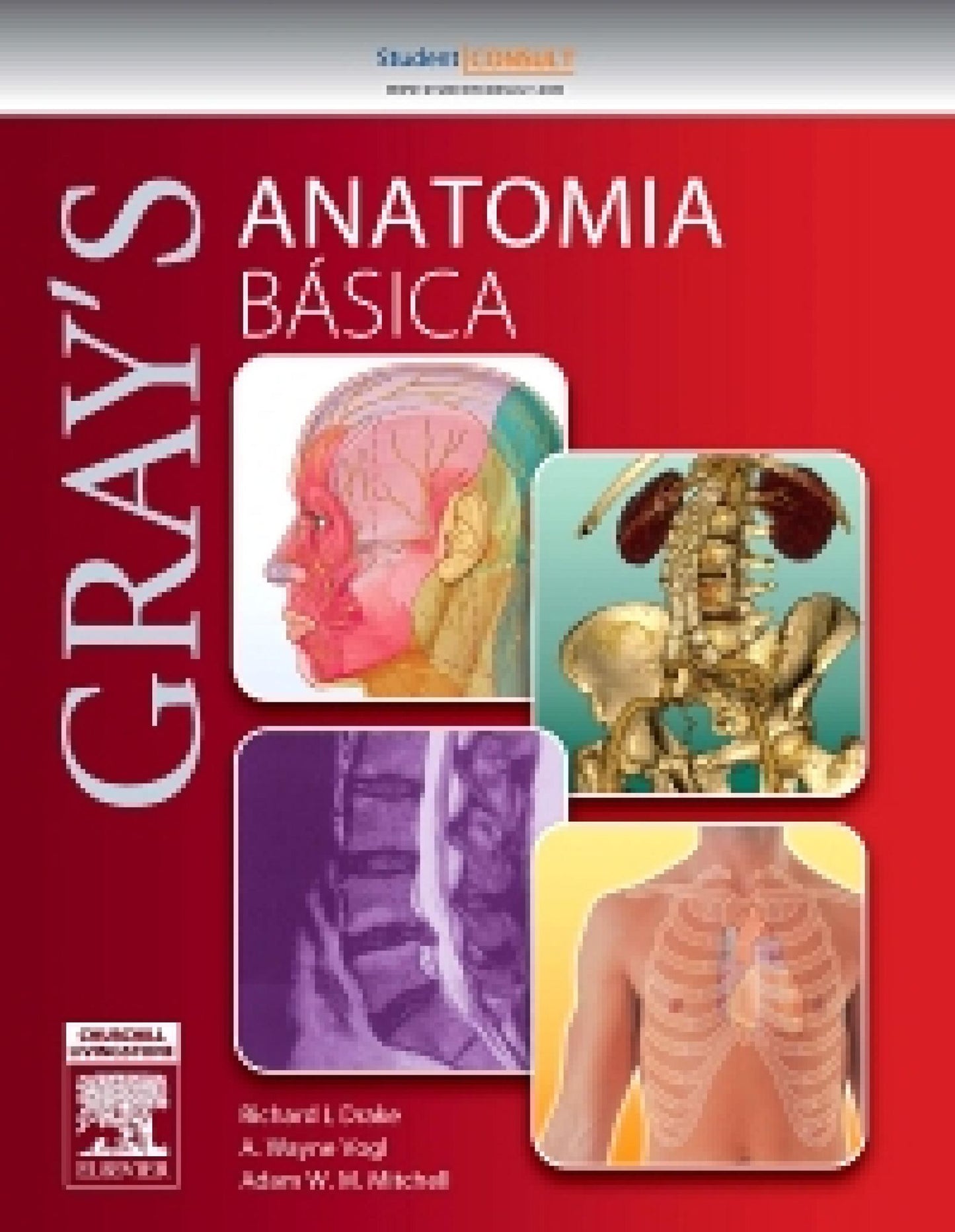Gray Anatomia Básica