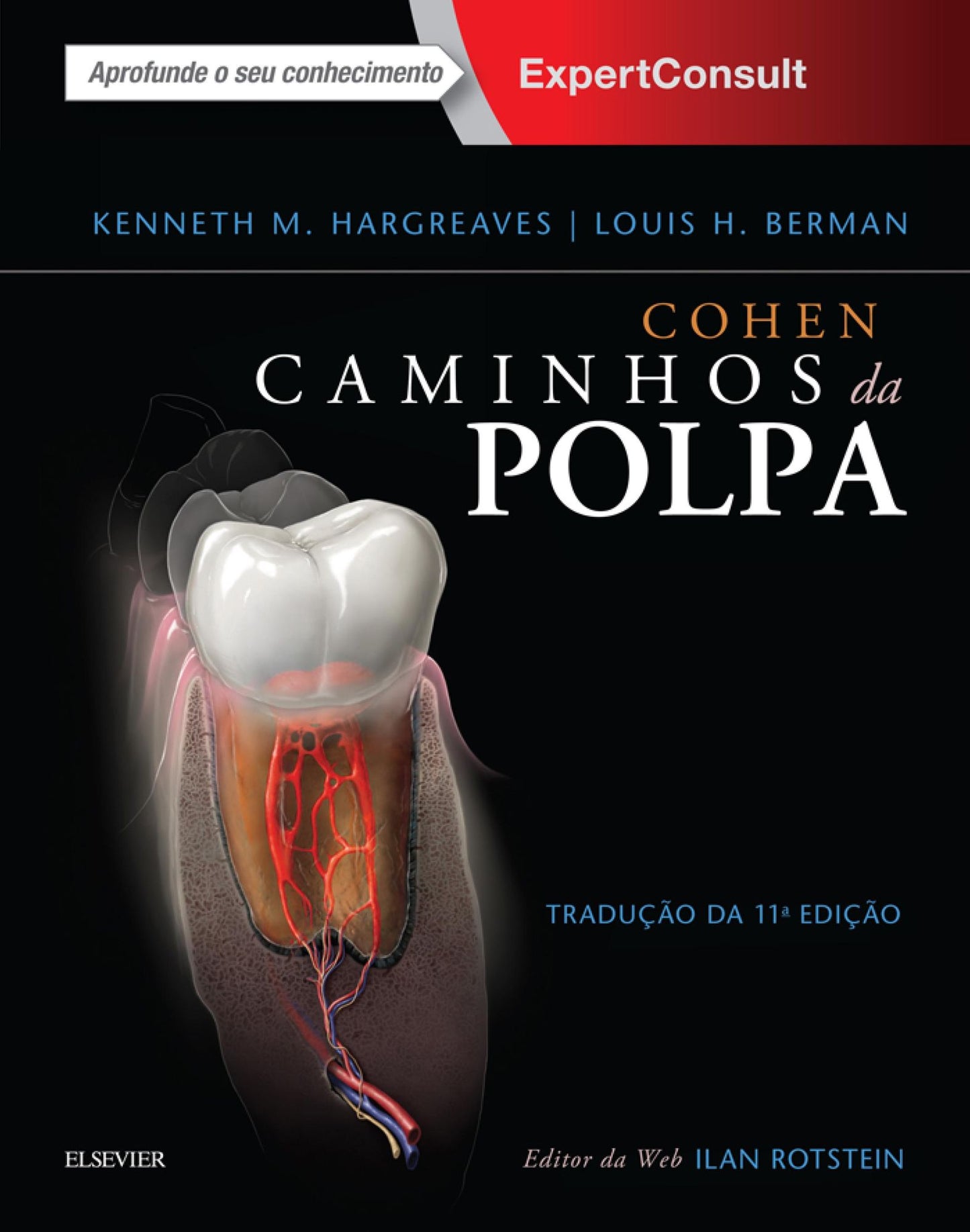 Cohen Caminhos da Polpa