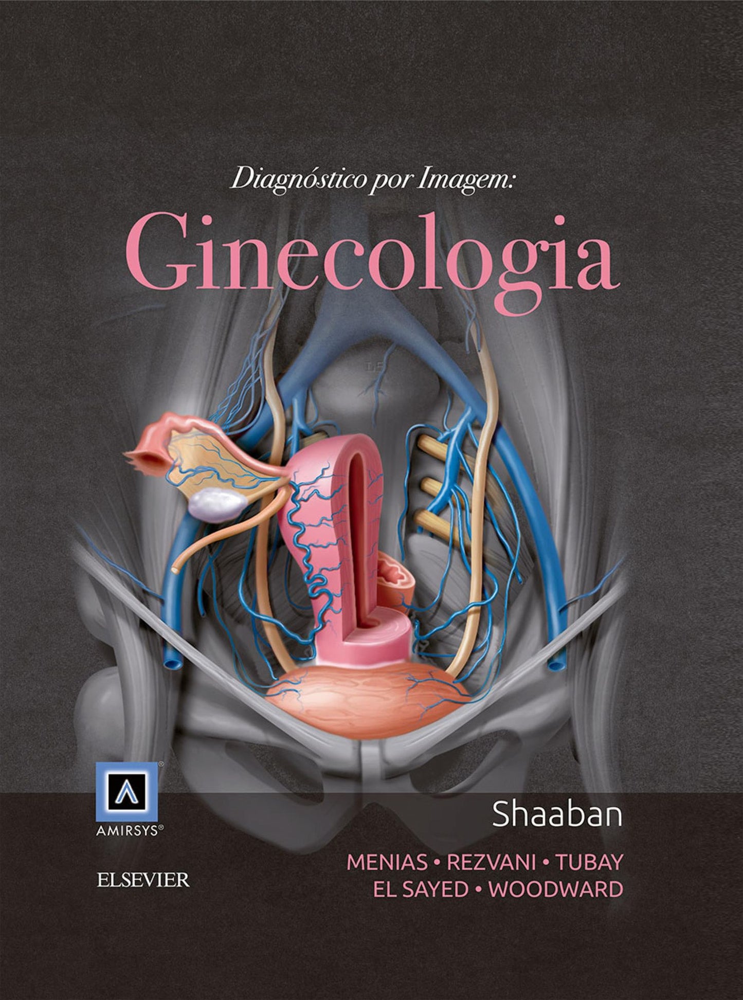 Diagnóstico por Imagem: Ginecologia
