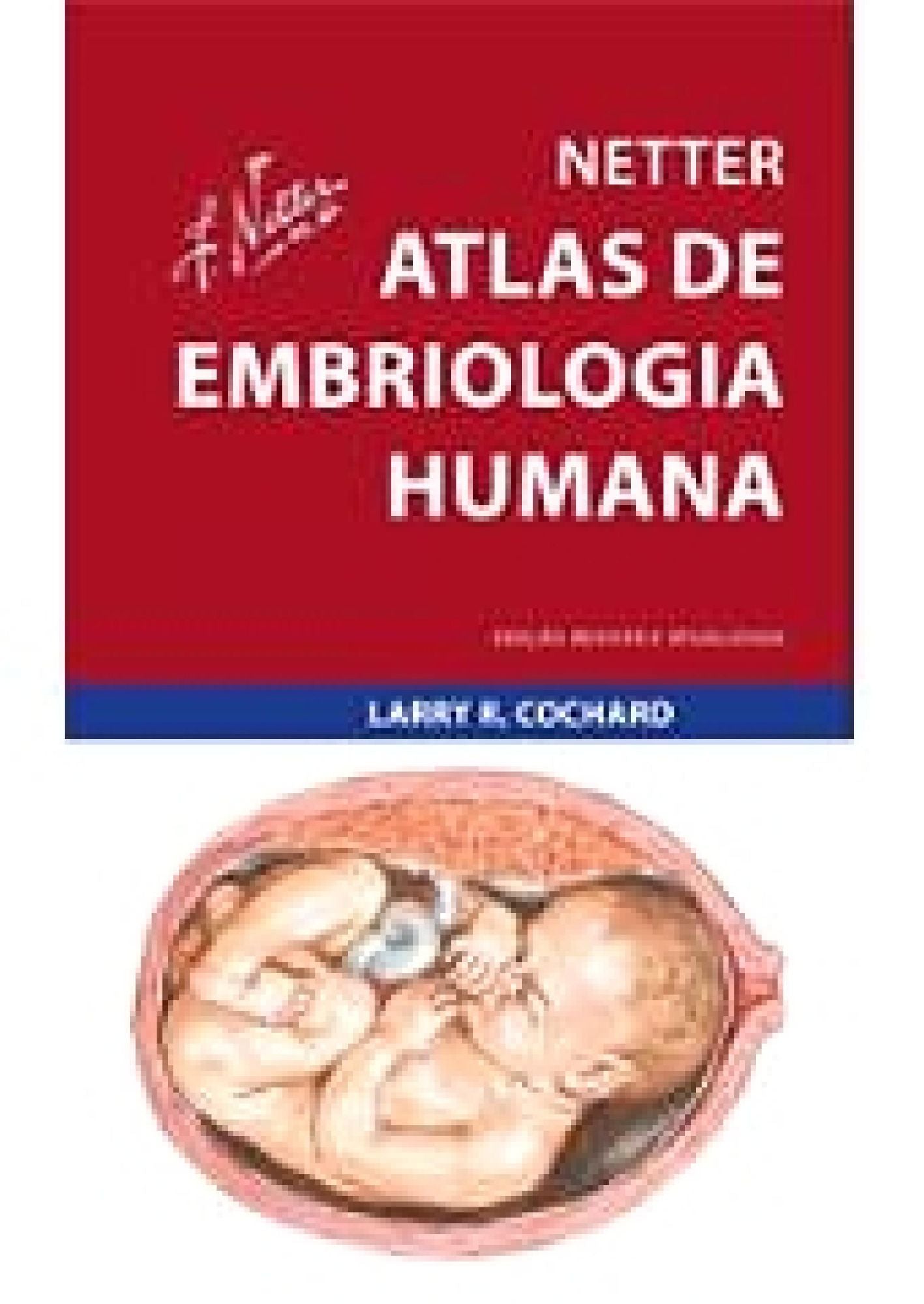Netter Atlas de Embriologia Humana: Edição Revista e Atualizada