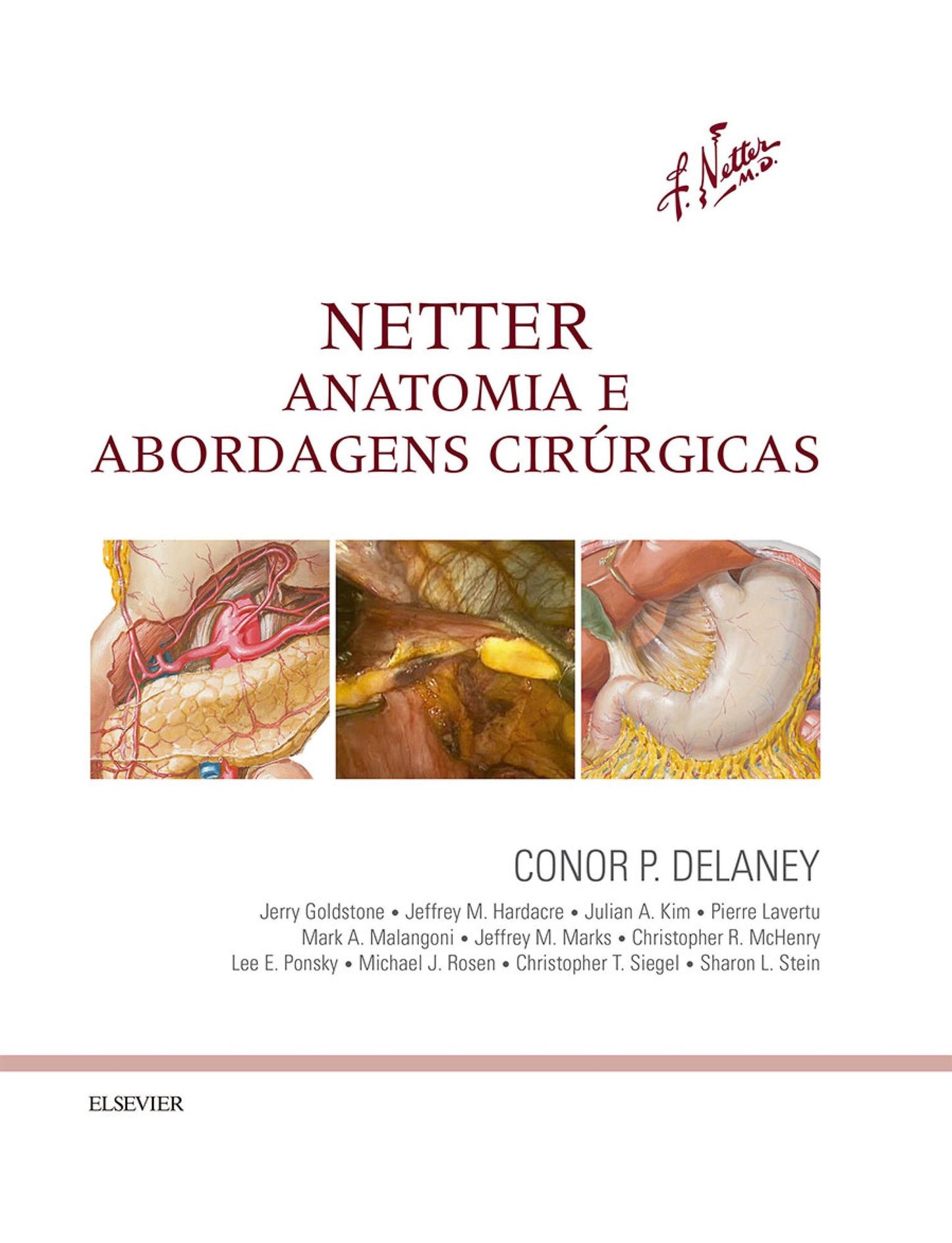 Netter Anatomia e Abordagens Cirúrgicas