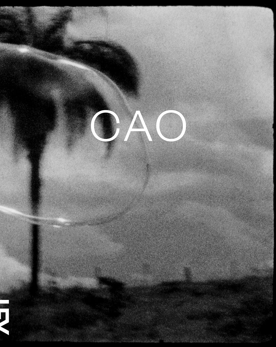 Cao Guimarï¿½es: Cao