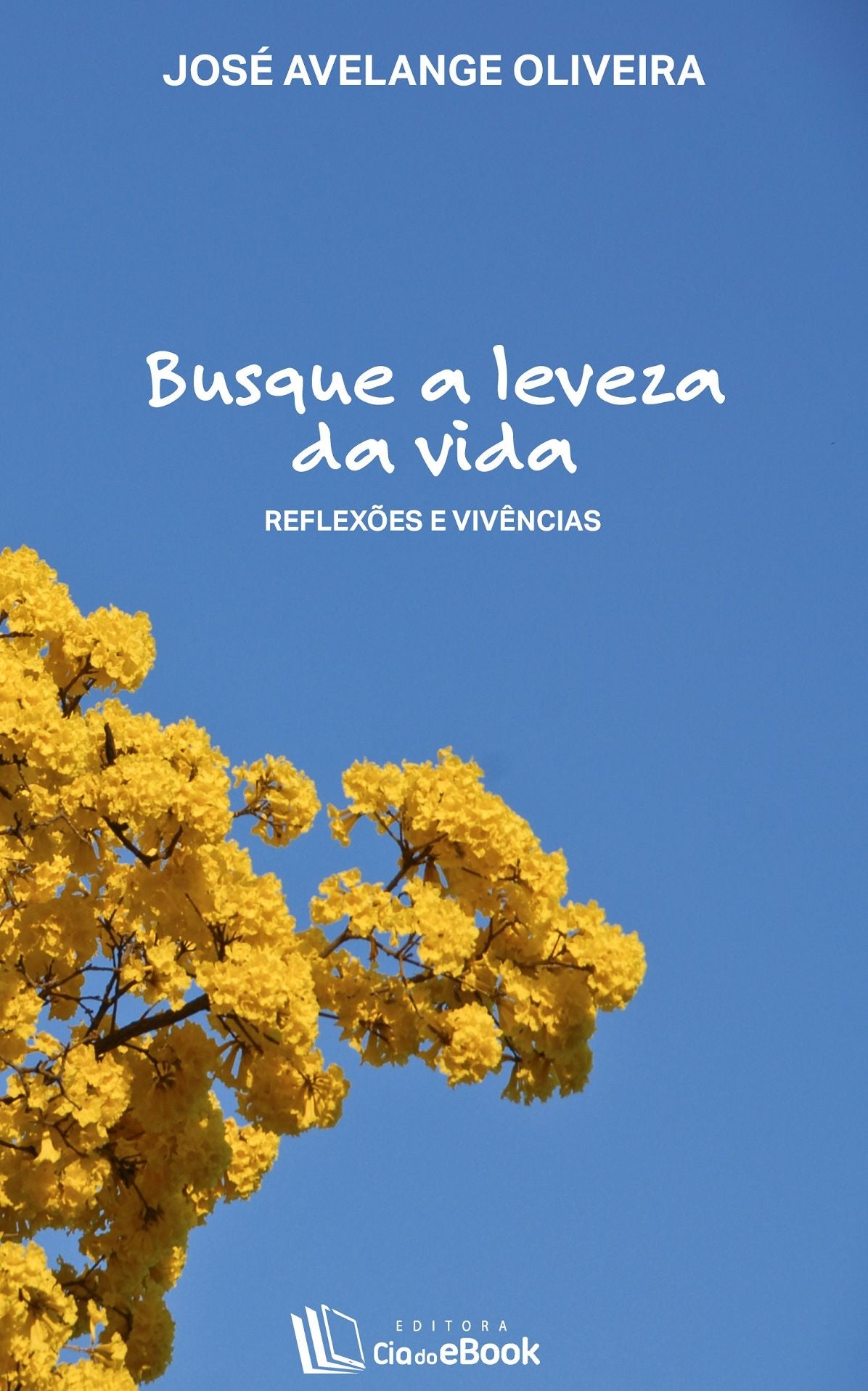 Busque a leveza da vida