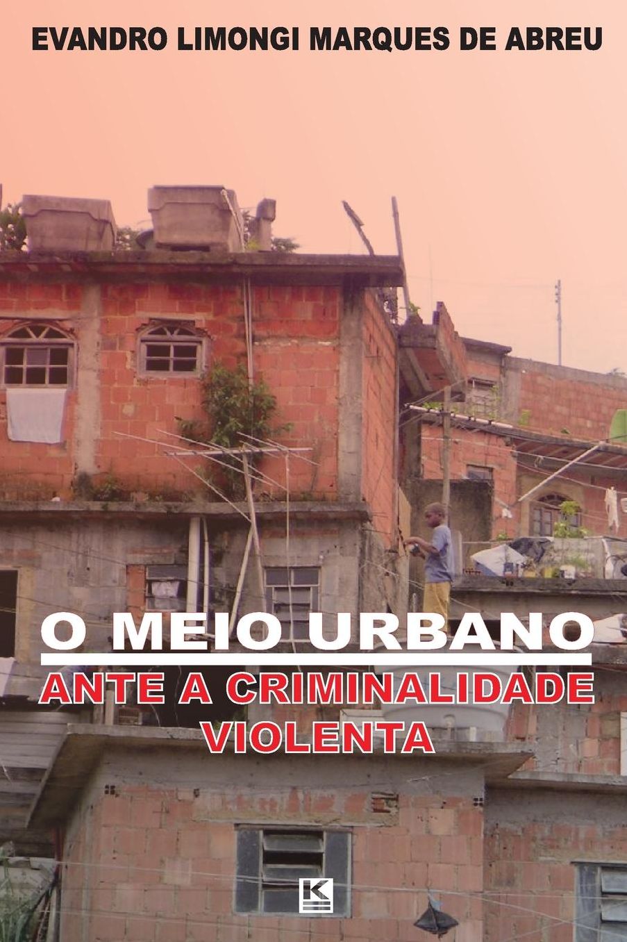 O meio urbano ante a criminalidade violenta