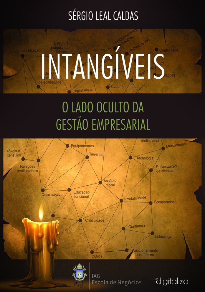 Intangíveis : O Lado Oculto da Gestão Empresarial