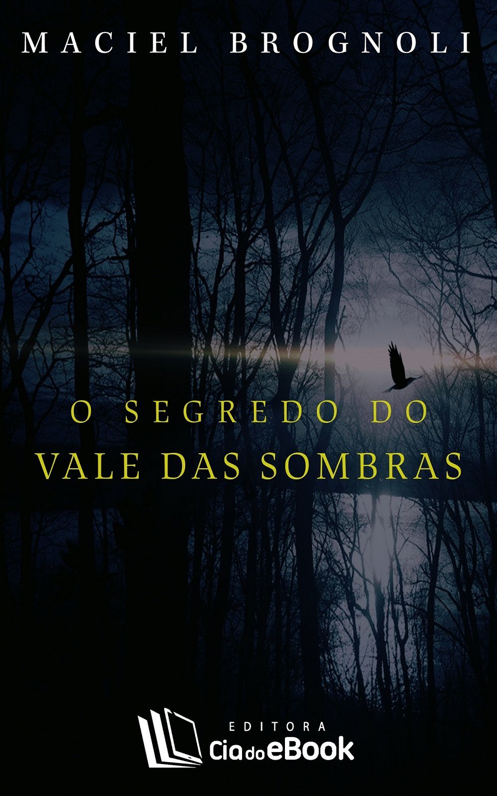 O segredo do Vale das Sombras