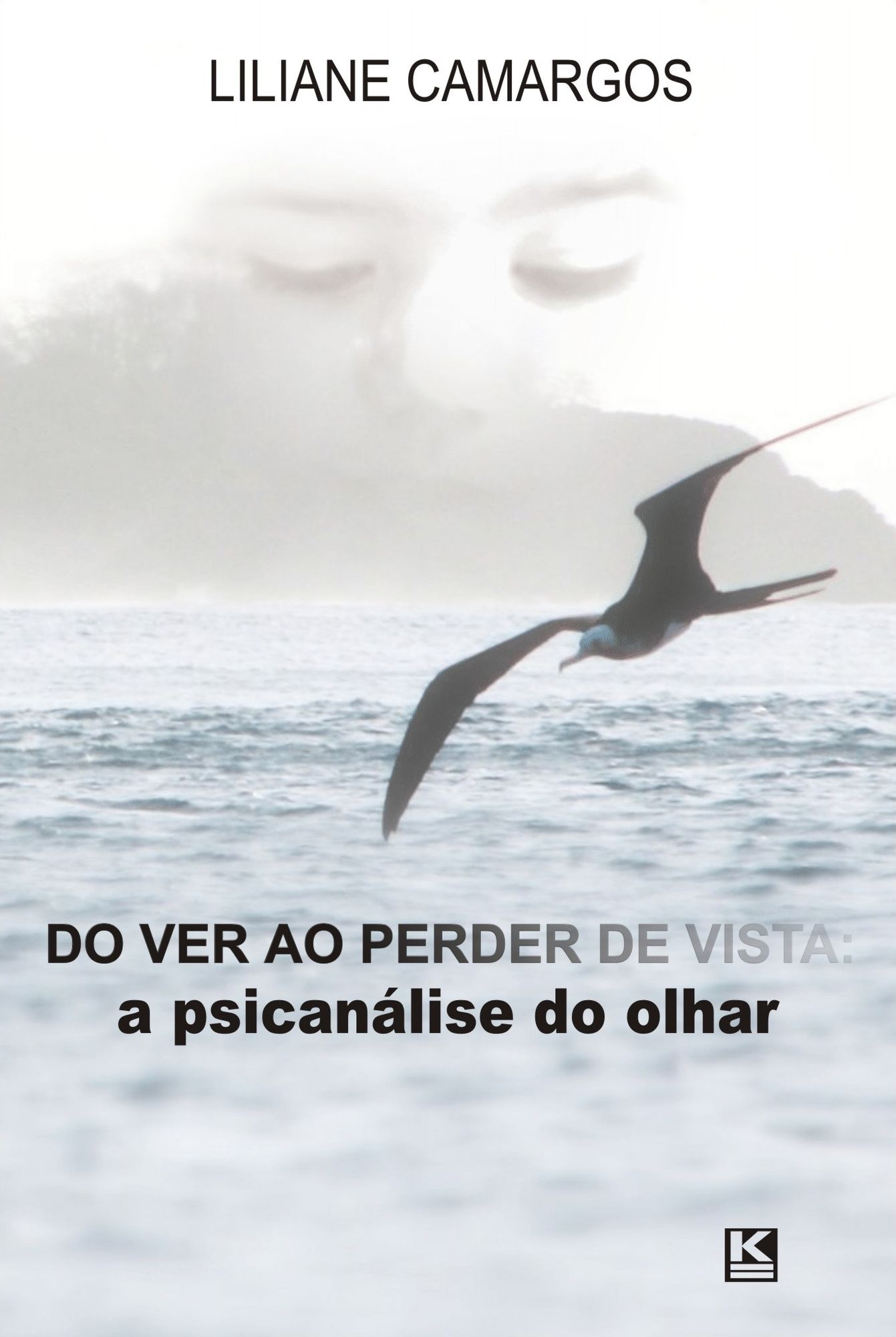 Do ver ao perder de vista: a psicanálise do olhar