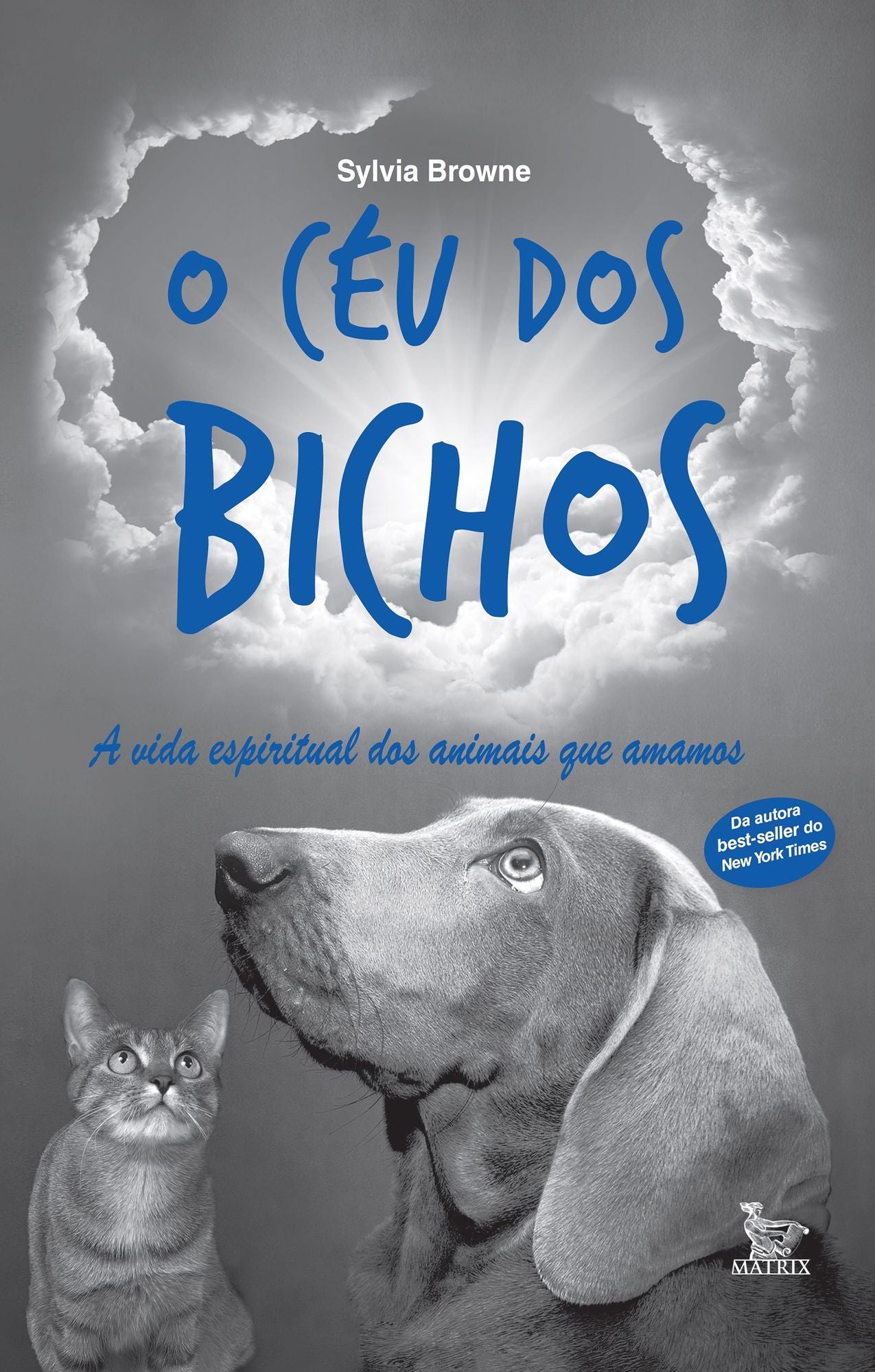 O céu dos bichos