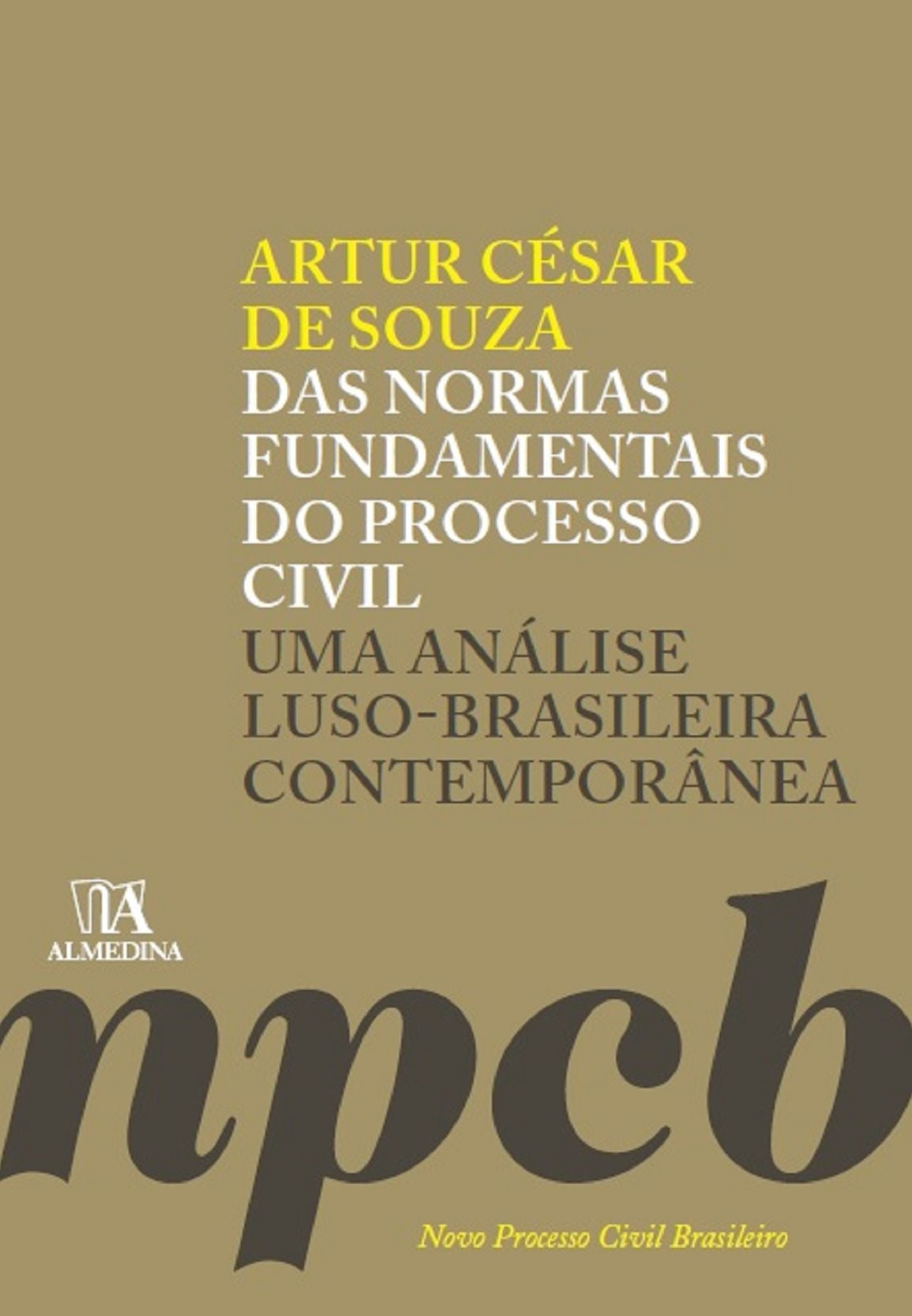 Das Normas Fundamentais do Processo Civil - uma análise luso-brasileira contemporânea