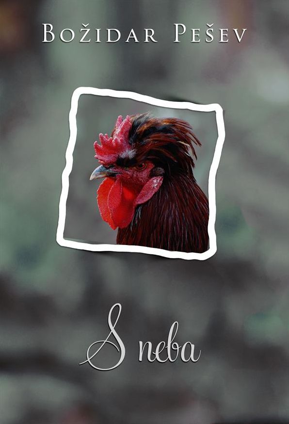 S neba