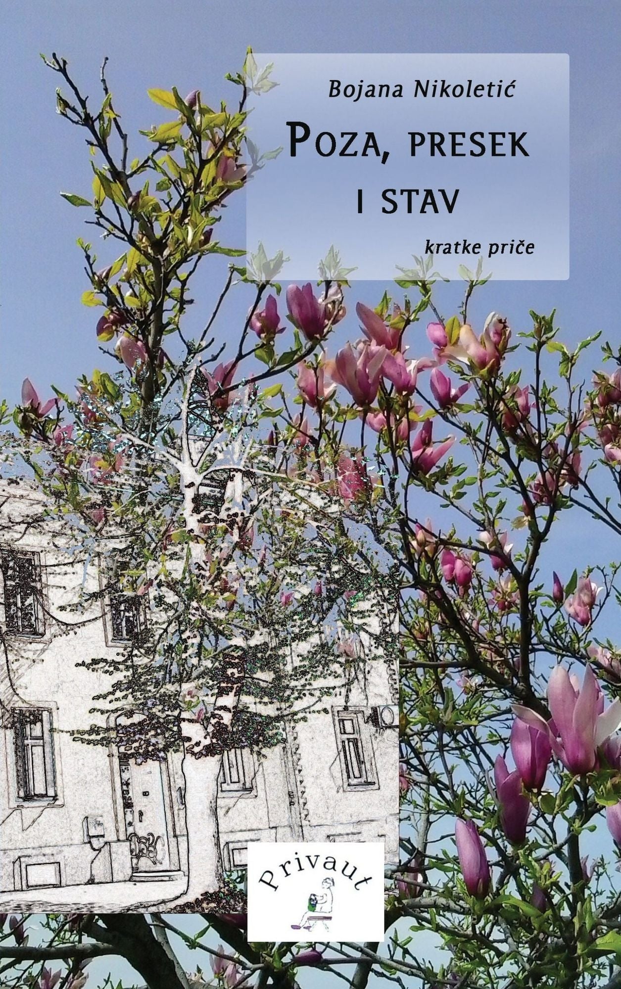 Poza, presek i stav