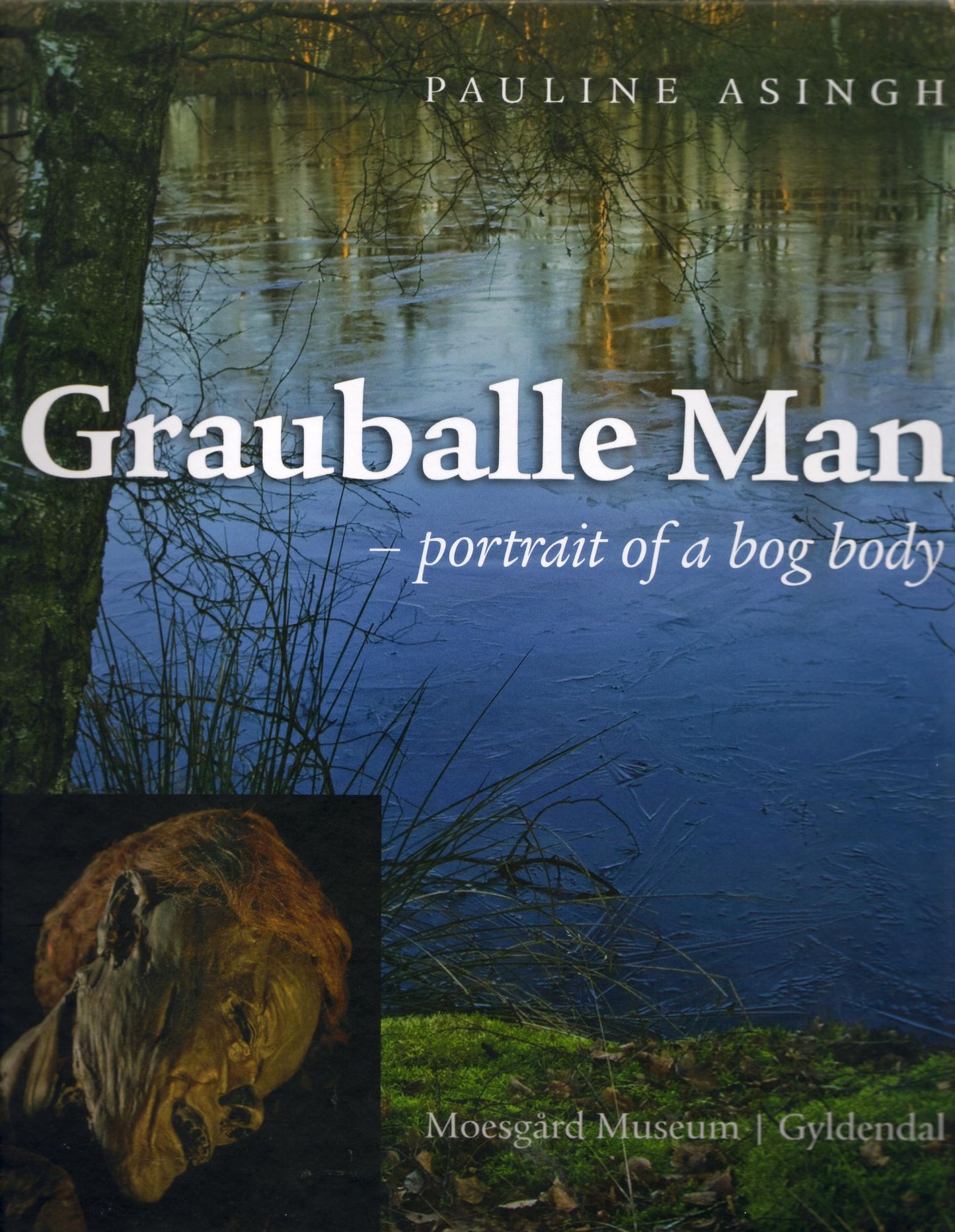 Grauballe Man: Portrait of a Bog Body