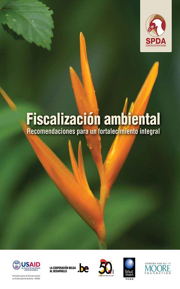 Fiscalización ambiental: Recomendaciones para un fortalecimiento integral