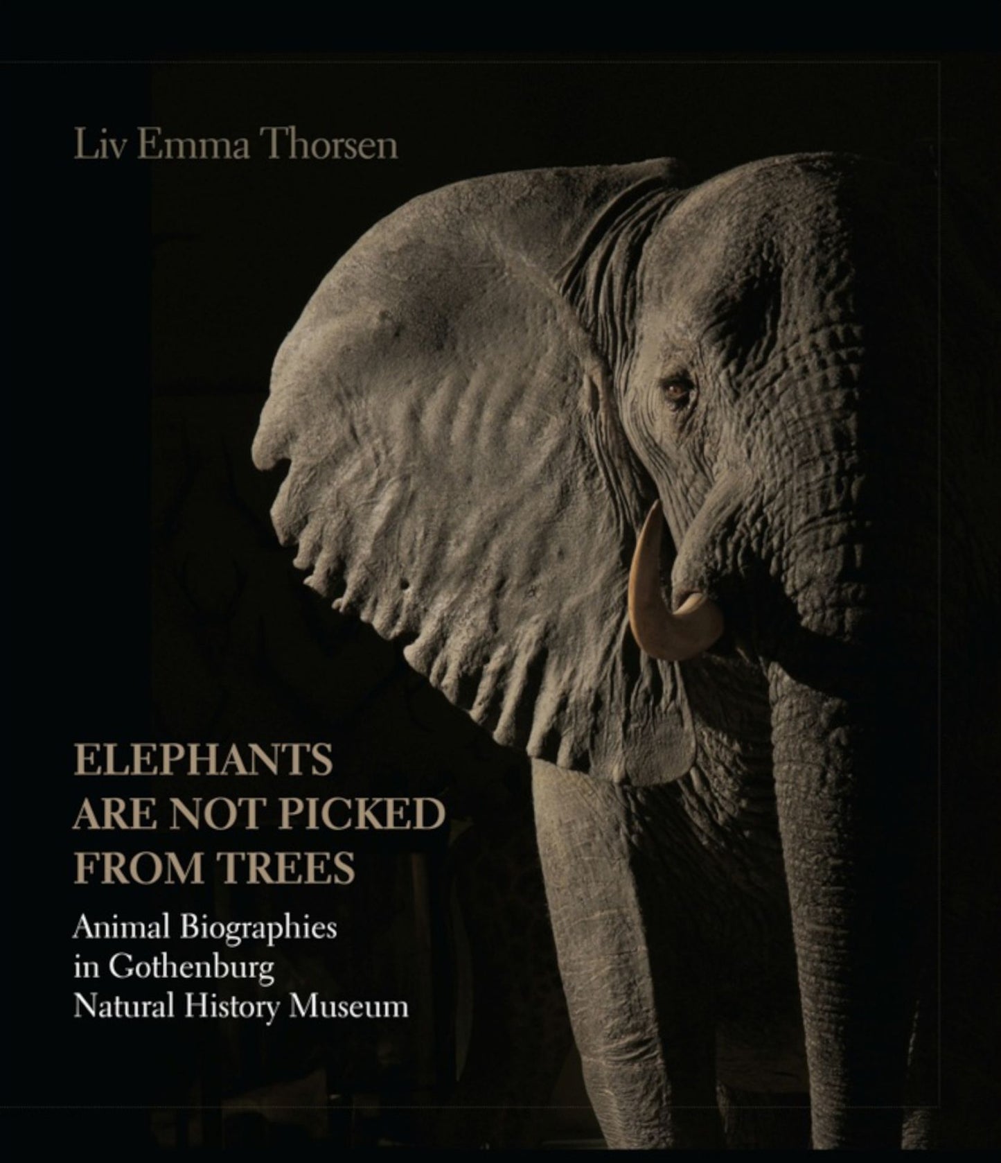 'Elephants Are Not Picked from Trees': Animal Biographies in the Gothenburg Museum of Natural History