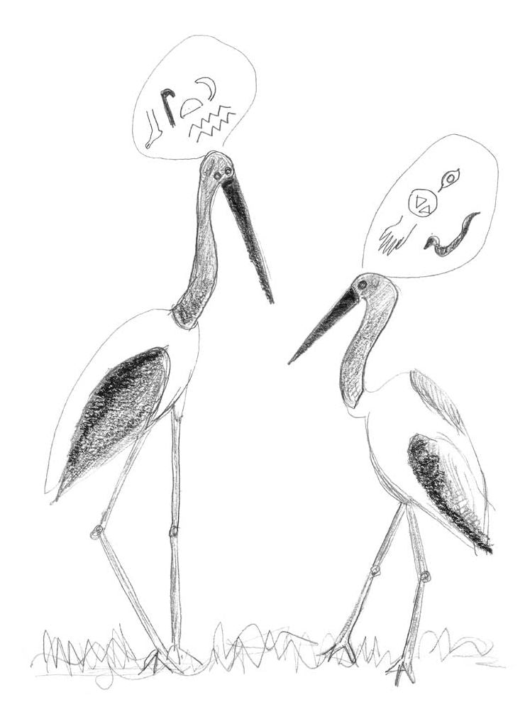 The Ugly Duckling by Hans Christian Andersen & Marina Abramovic