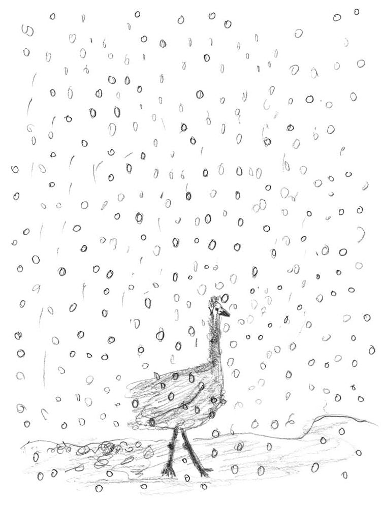 The Ugly Duckling by Hans Christian Andersen & Marina Abramovic