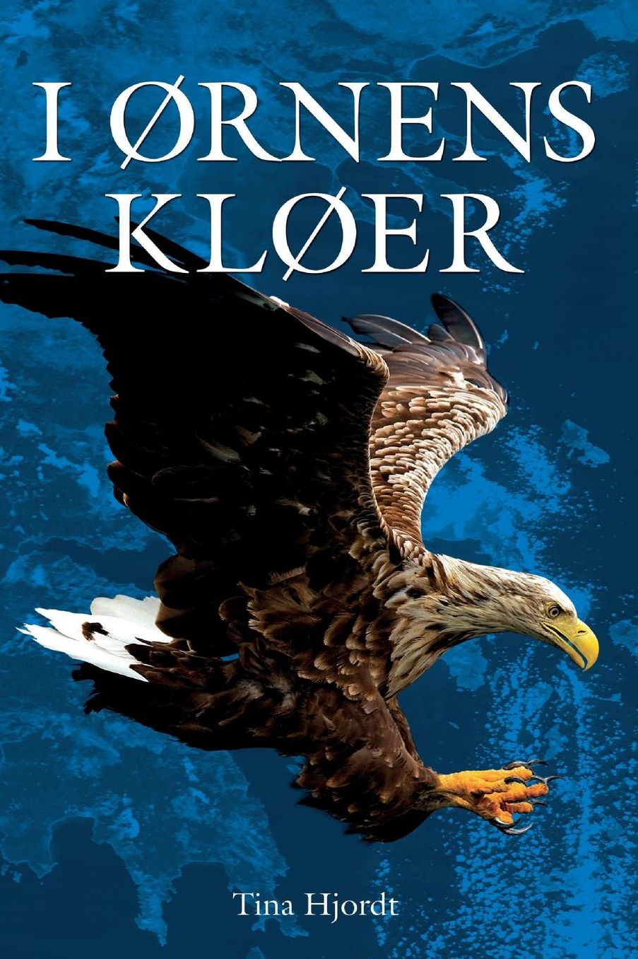 I ï¿½RNENS KLï¿½ER