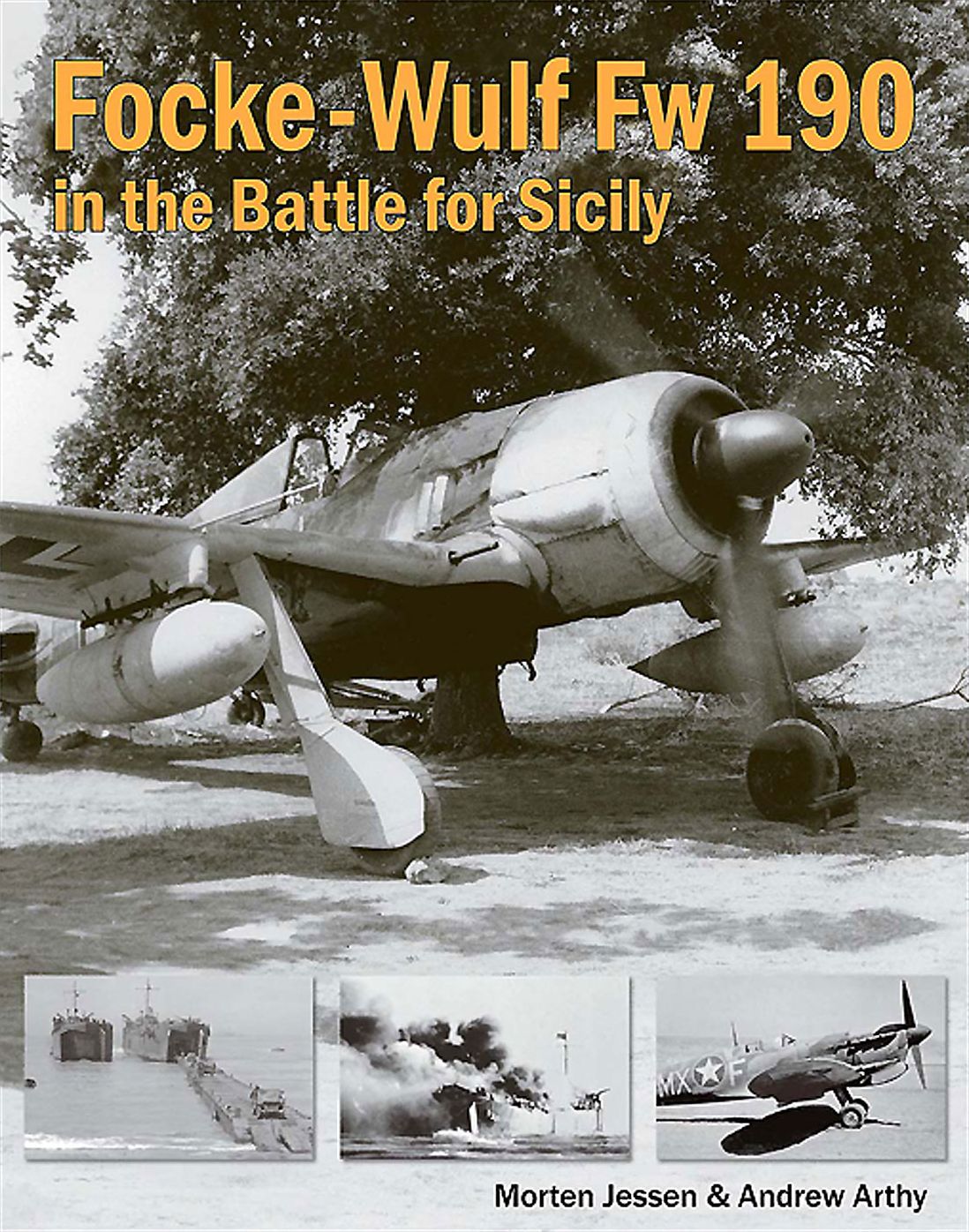 Focke-Wulf Fw 190 in the Battle for Sicily