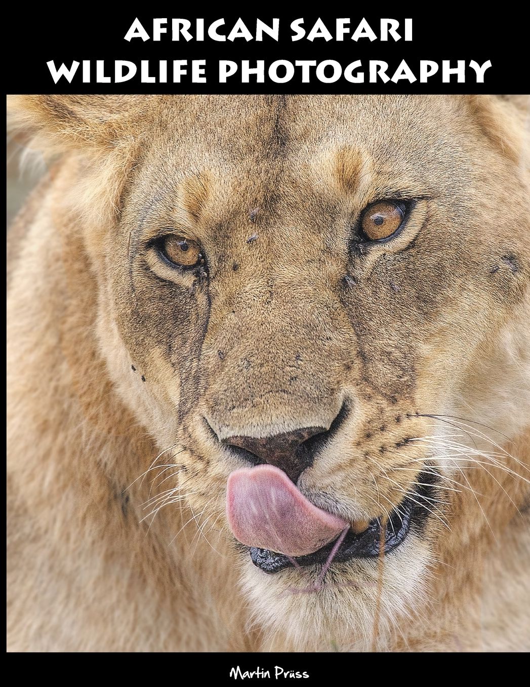 African Safari Wildlife Photography