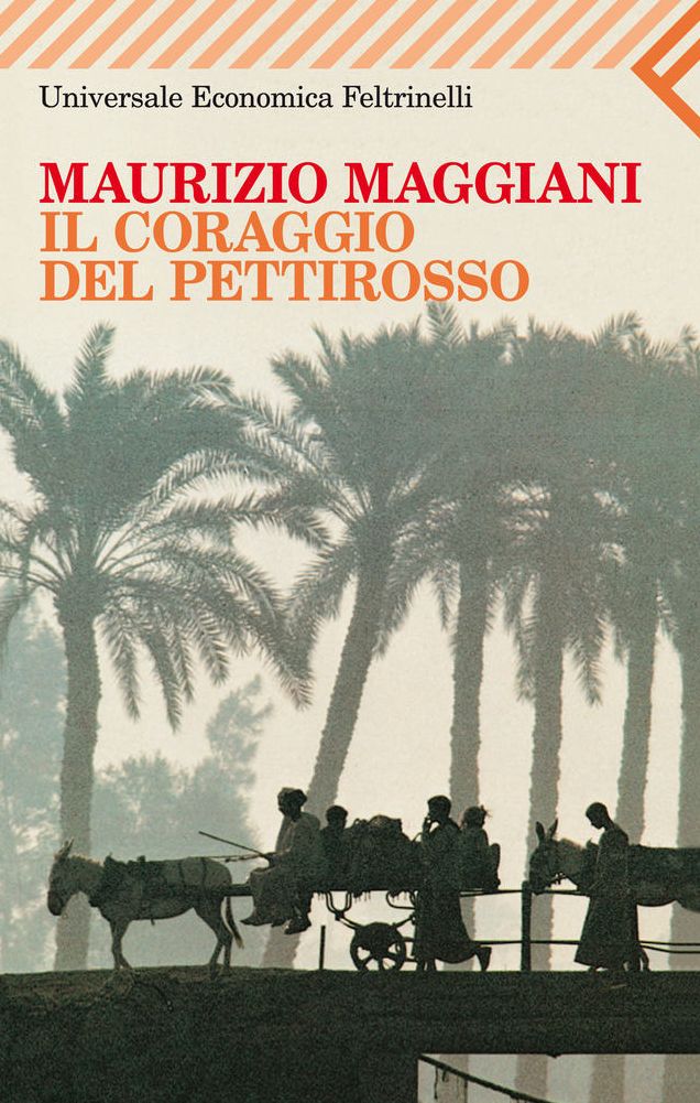 Il coraggio del pettirosso