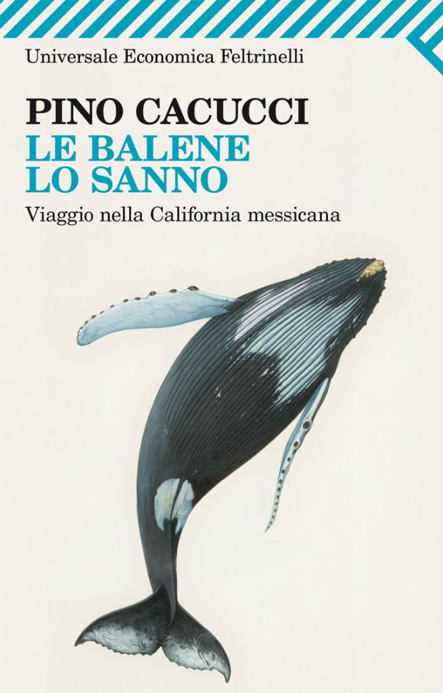 Le balene lo sanno: Viaggio nella California messicana. Con le fotografie di Alberto Poli
