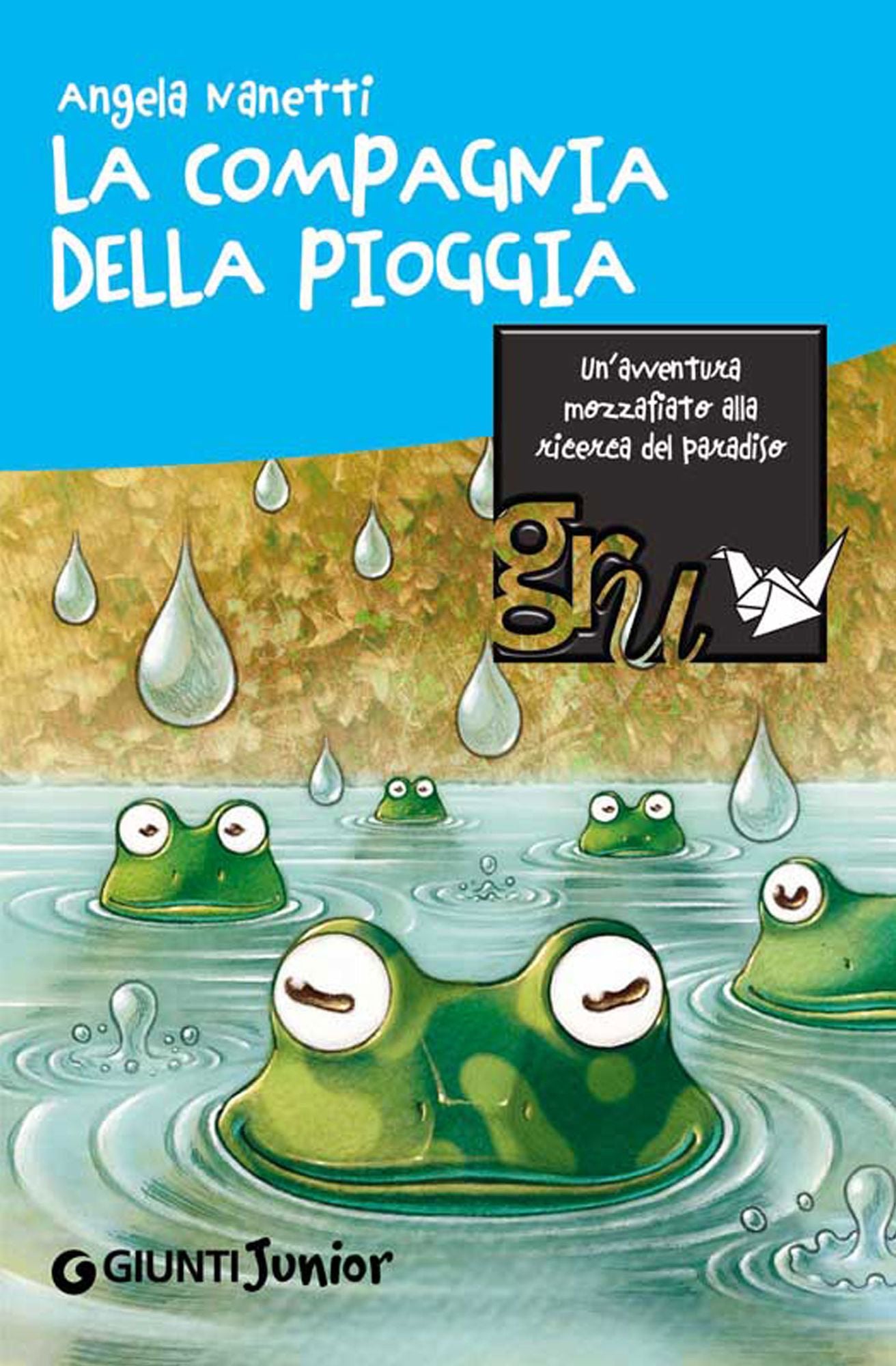 La compagnia della pioggia