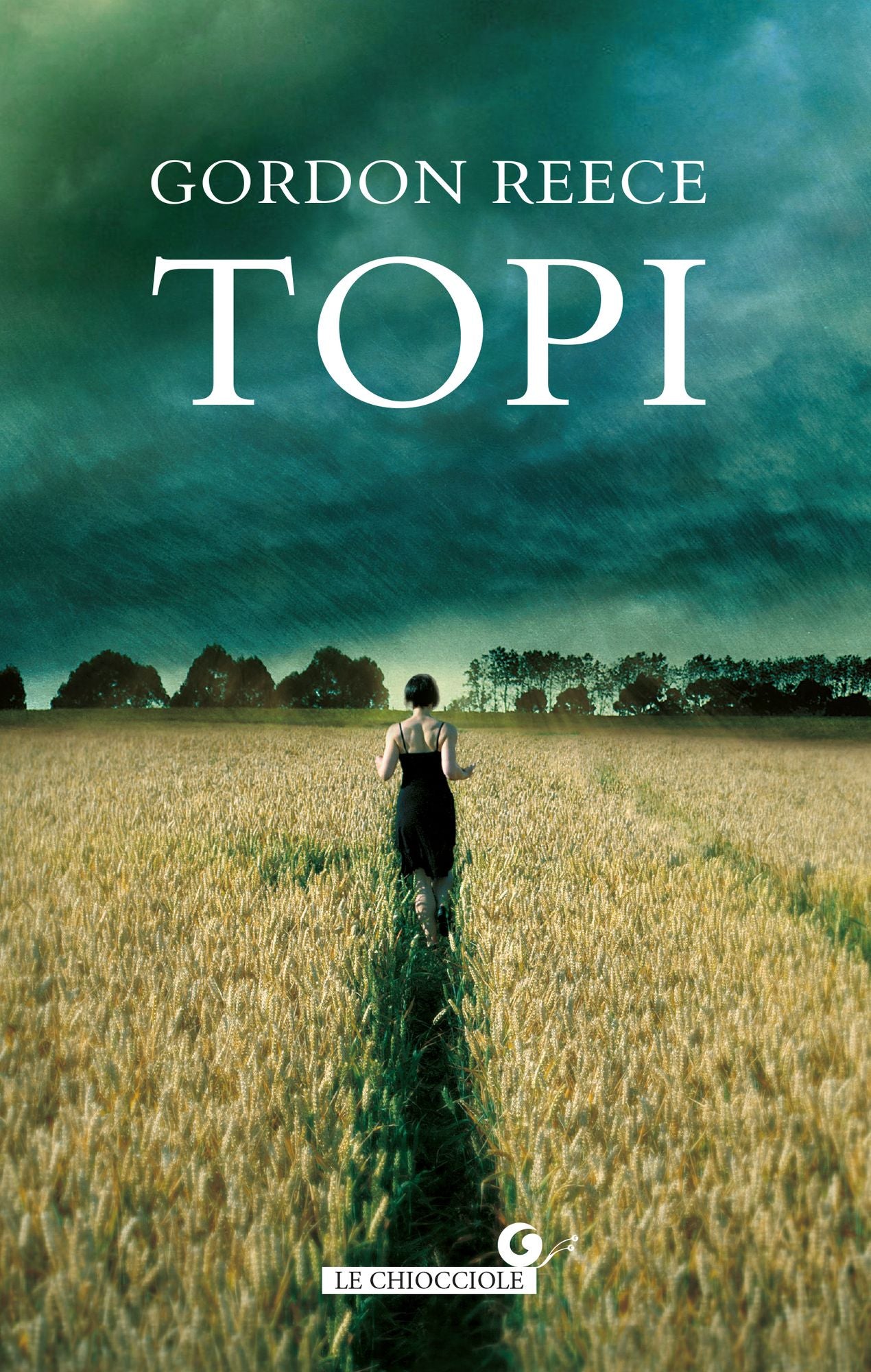 Topi