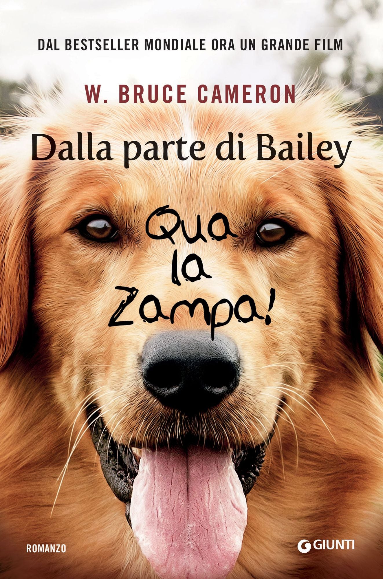 Dalla parte di Bailey: Qua la zampa!
