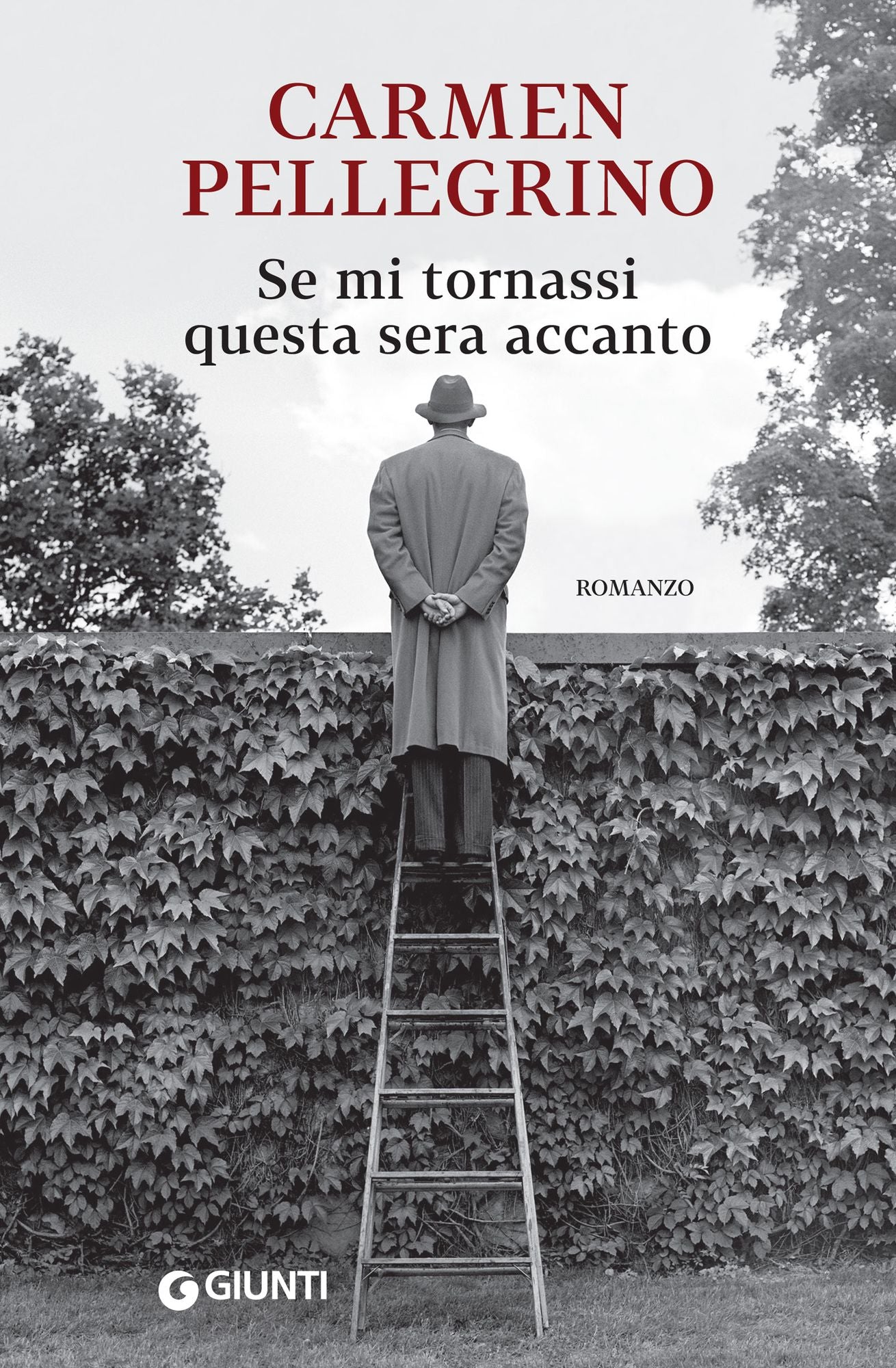 Se mi tornassi questa sera accanto