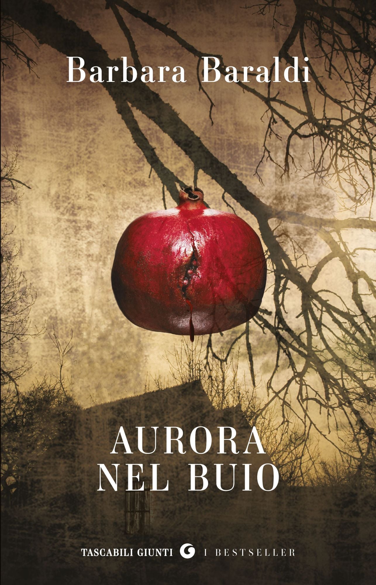 Aurora nel buio