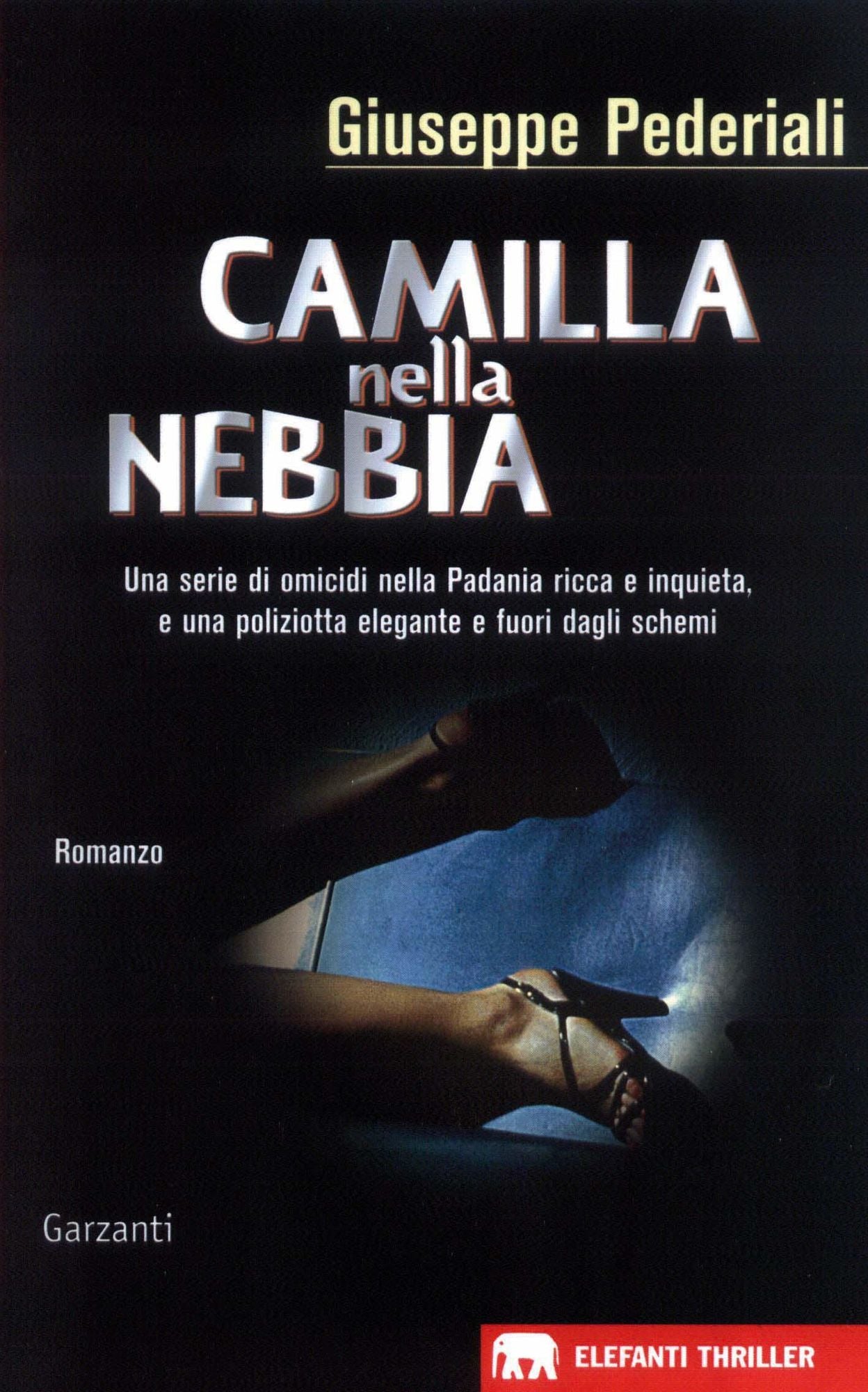 Camilla nella nebbia: Un caso di Camilla Cagliostri