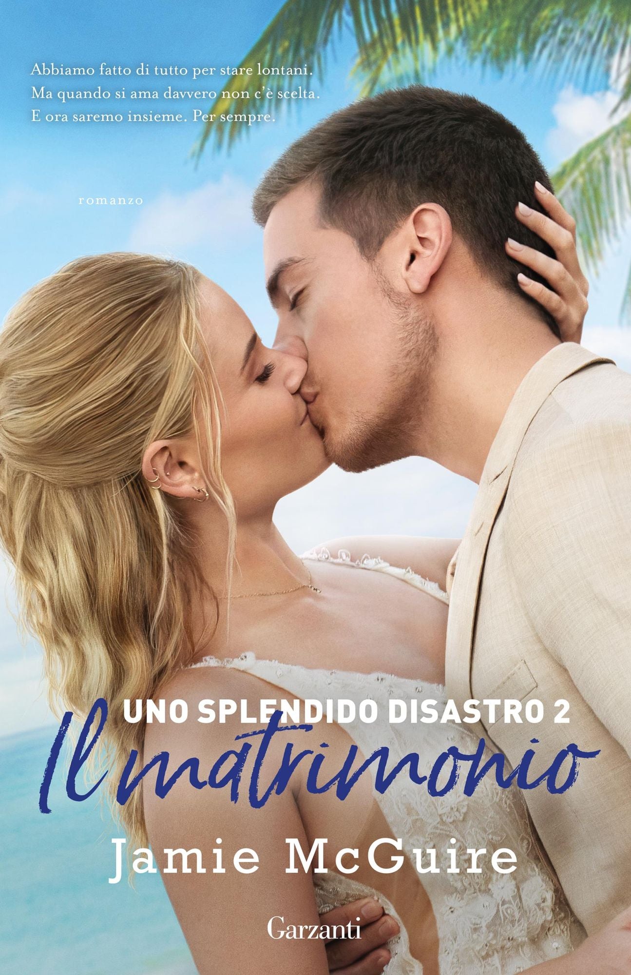 Uno splendido disastro: La serie di Uno splendido disastro