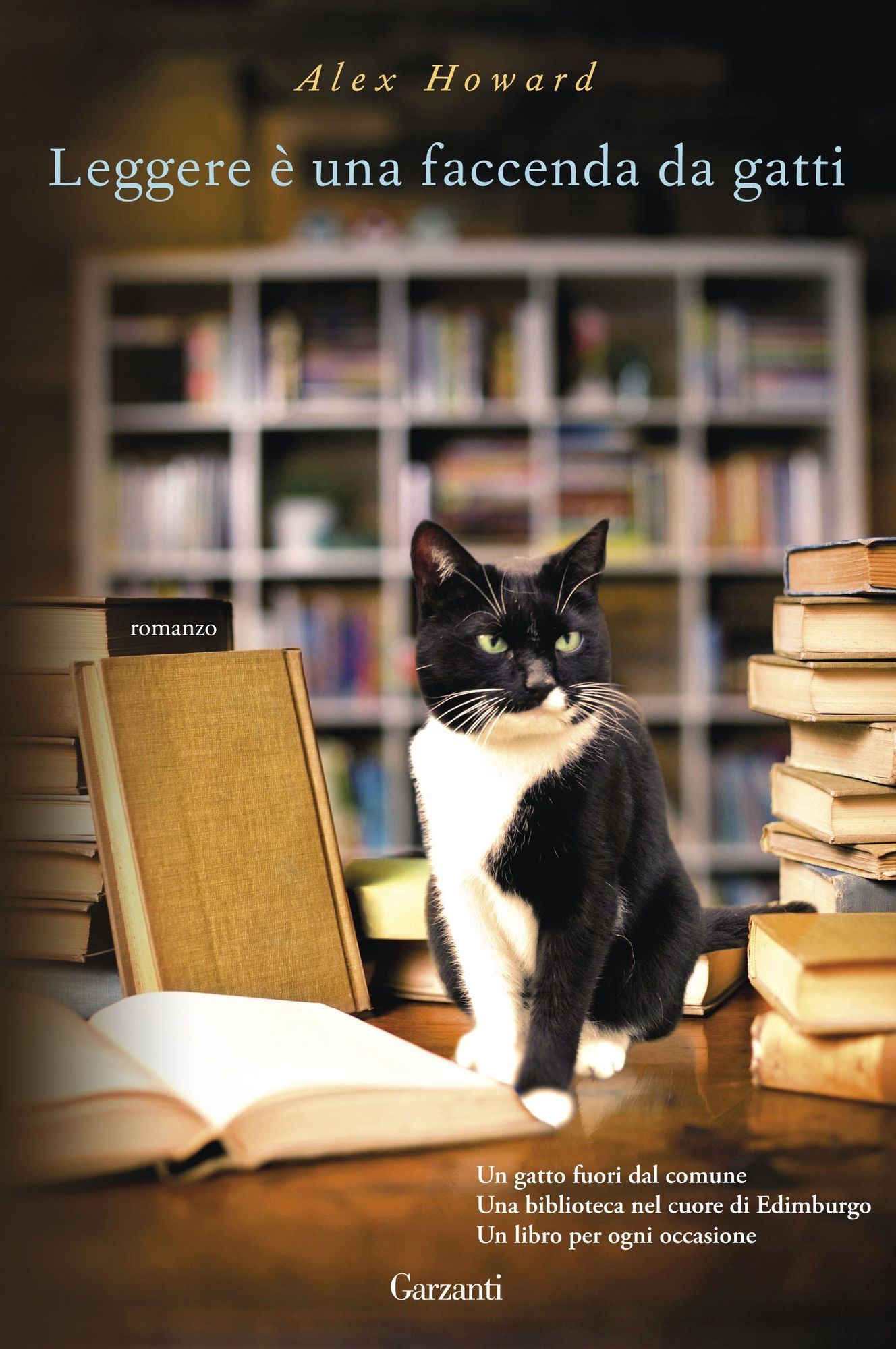 Leggere è una faccenda da gatti