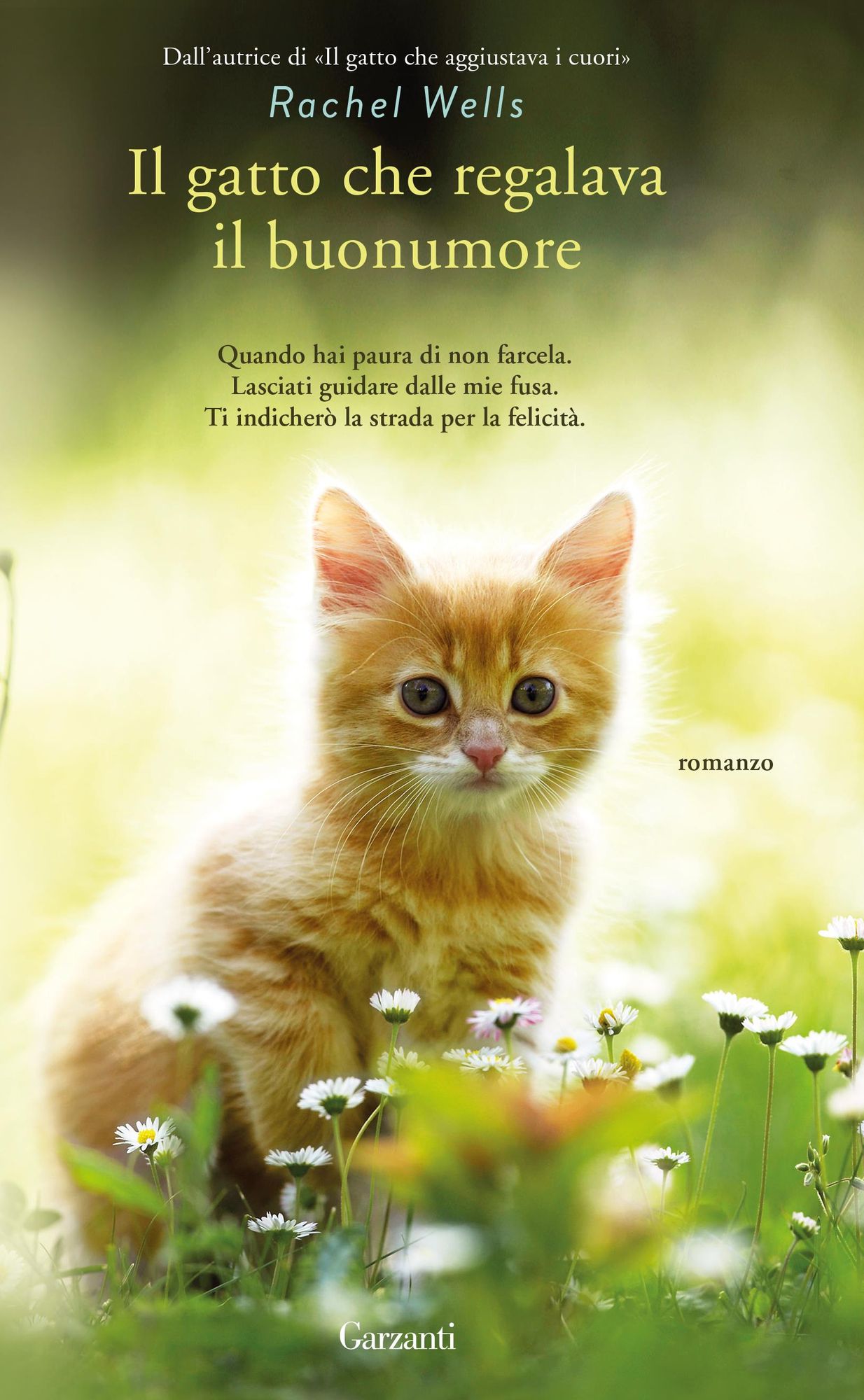 Il gatto che regalava il buonumore