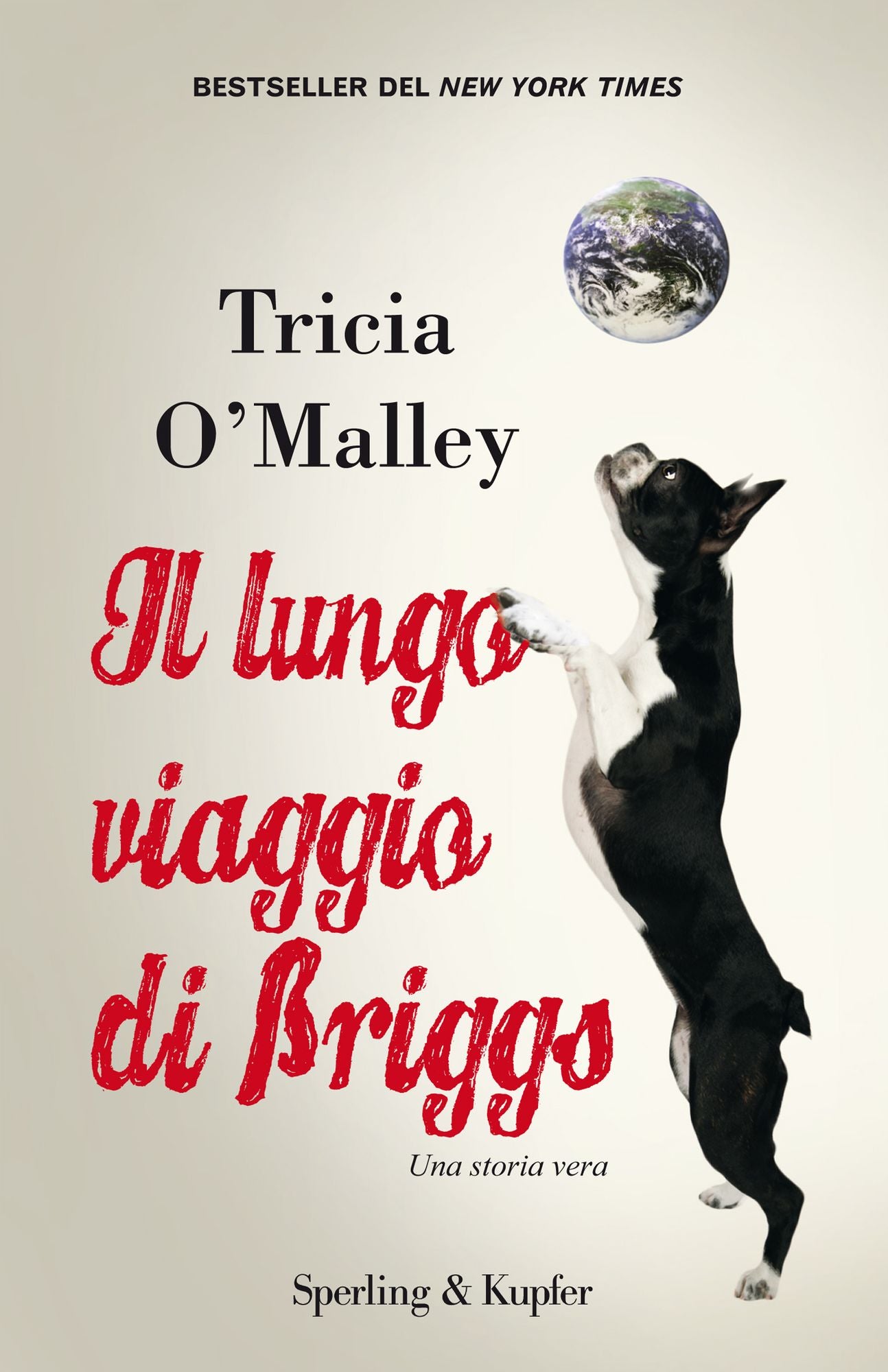 Il lungo viaggio di Briggs (The Stolen Dog)