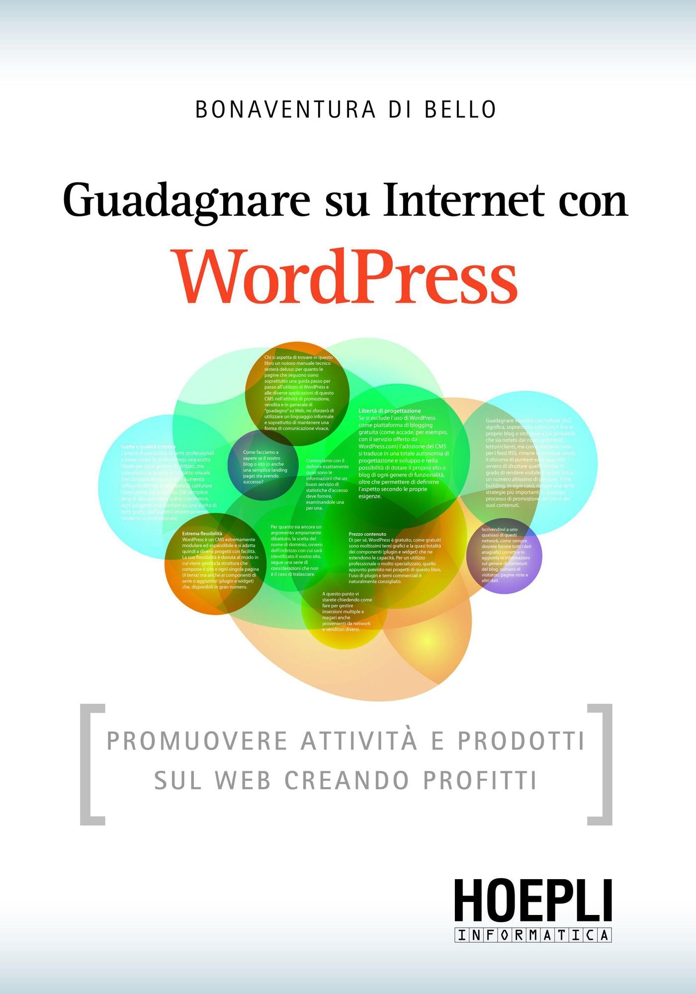 Guadagnare su internet con WordPress: Promuovere attività e prodotti sul web creando profitti