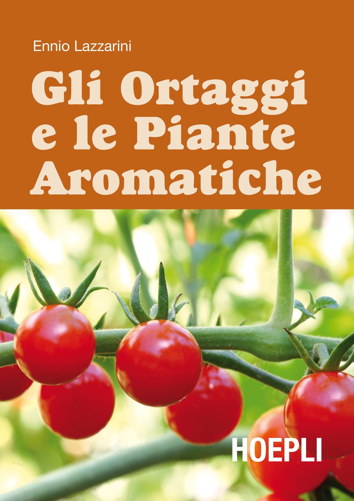 Gli ortaggi e le piante aromatiche