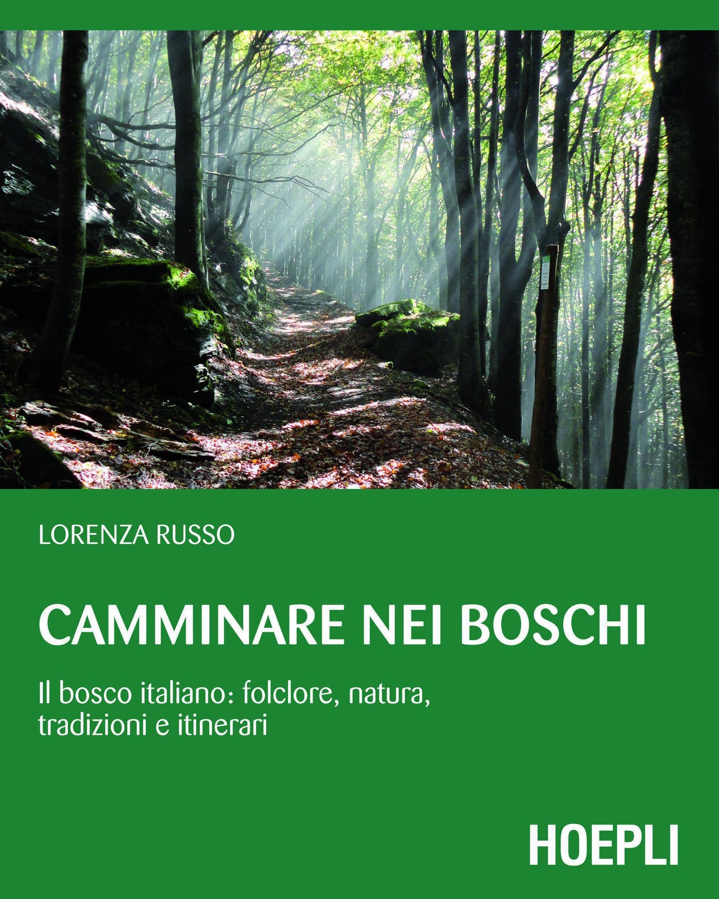 Camminare nei boschi: Il bosco italiano: folclore, natura, tradizioni e itinerari